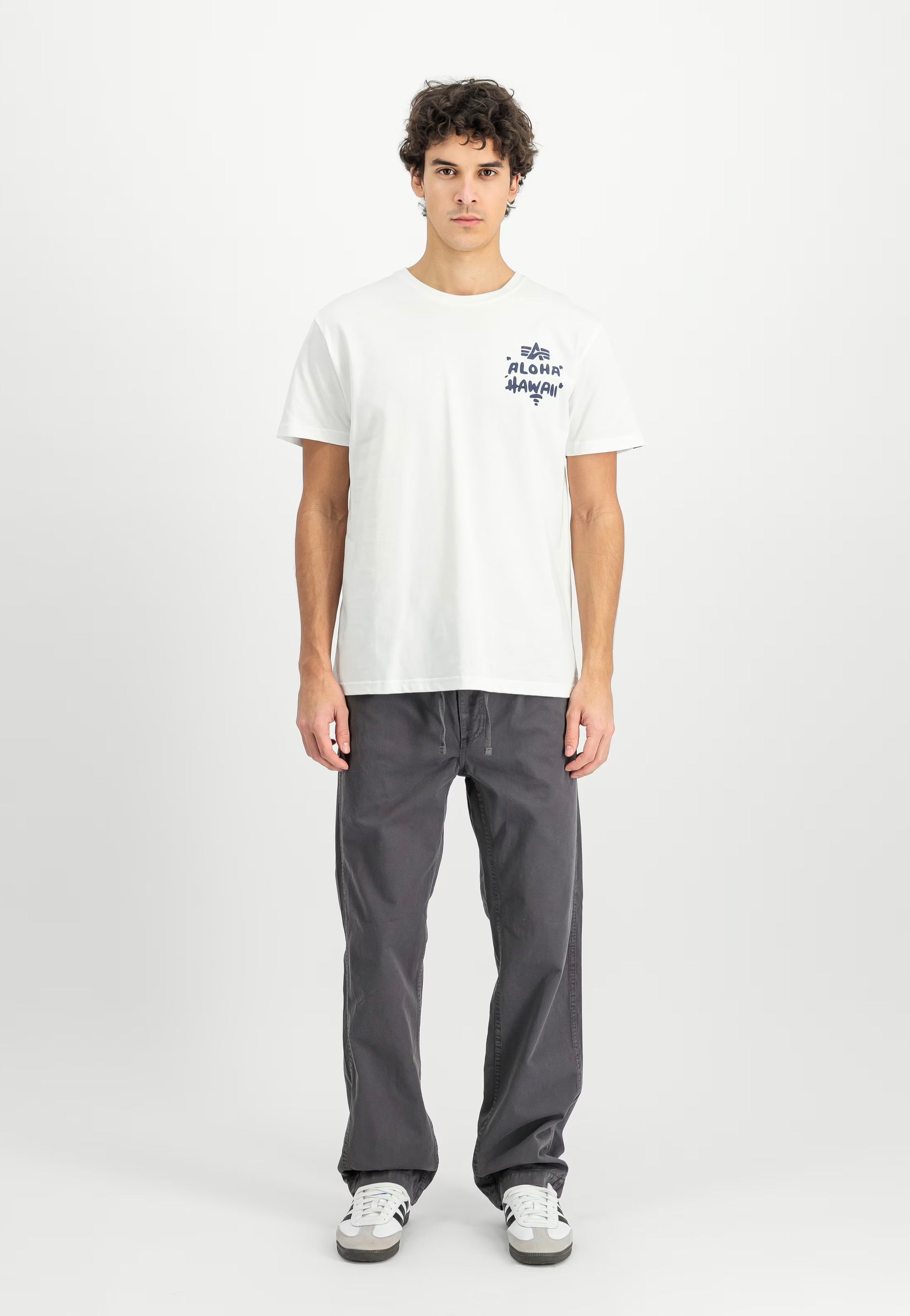 Alpha Industries - Basic Cotton Vintage Grey - Pants | Men-Image
