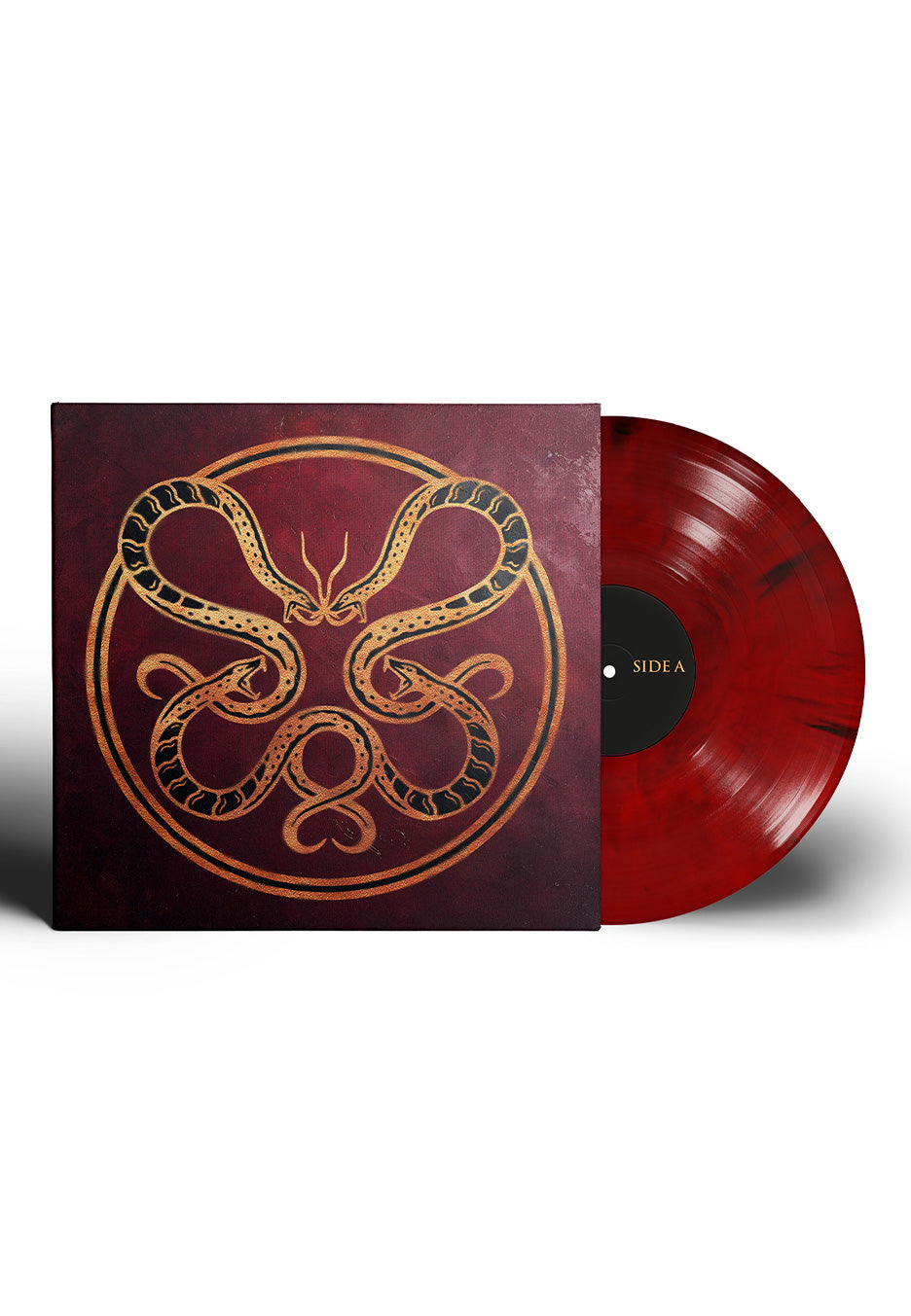 Vicious Rain - The Anatomy of Surviving Ltd. Red opaque + Black Marbled - Colored Vinyl | Neutral-Image