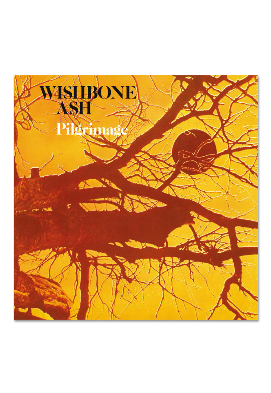 Wishbone Ash - Pilgrimage - Vinyl | Neutral-Image