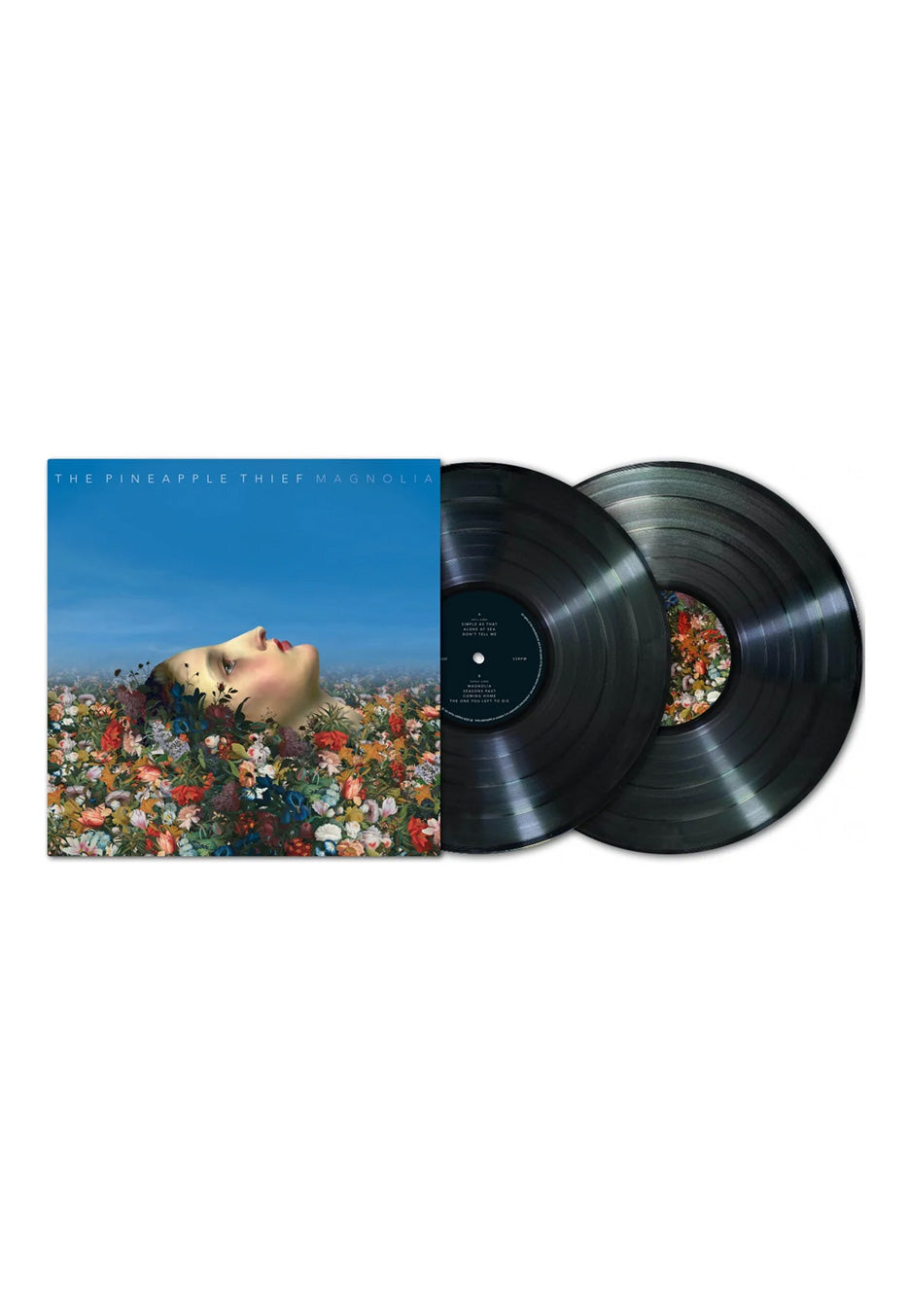 The Pineapple Thief - Magnolia (2025 Bruce Soord Mix) - 2 Vinyl | Neutral-Image