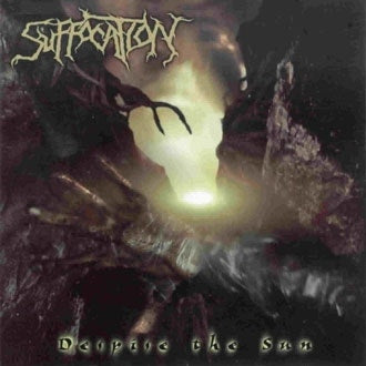Despise The Sun