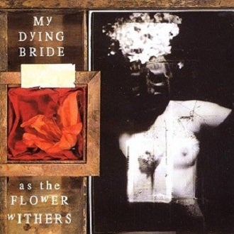 As The Flower Withers