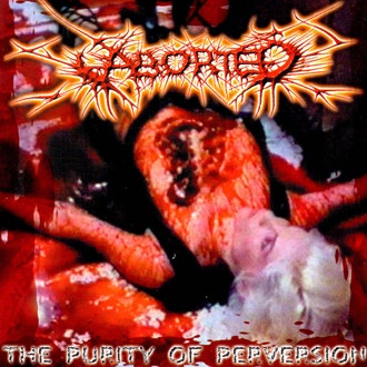 The Purity Of Perversion