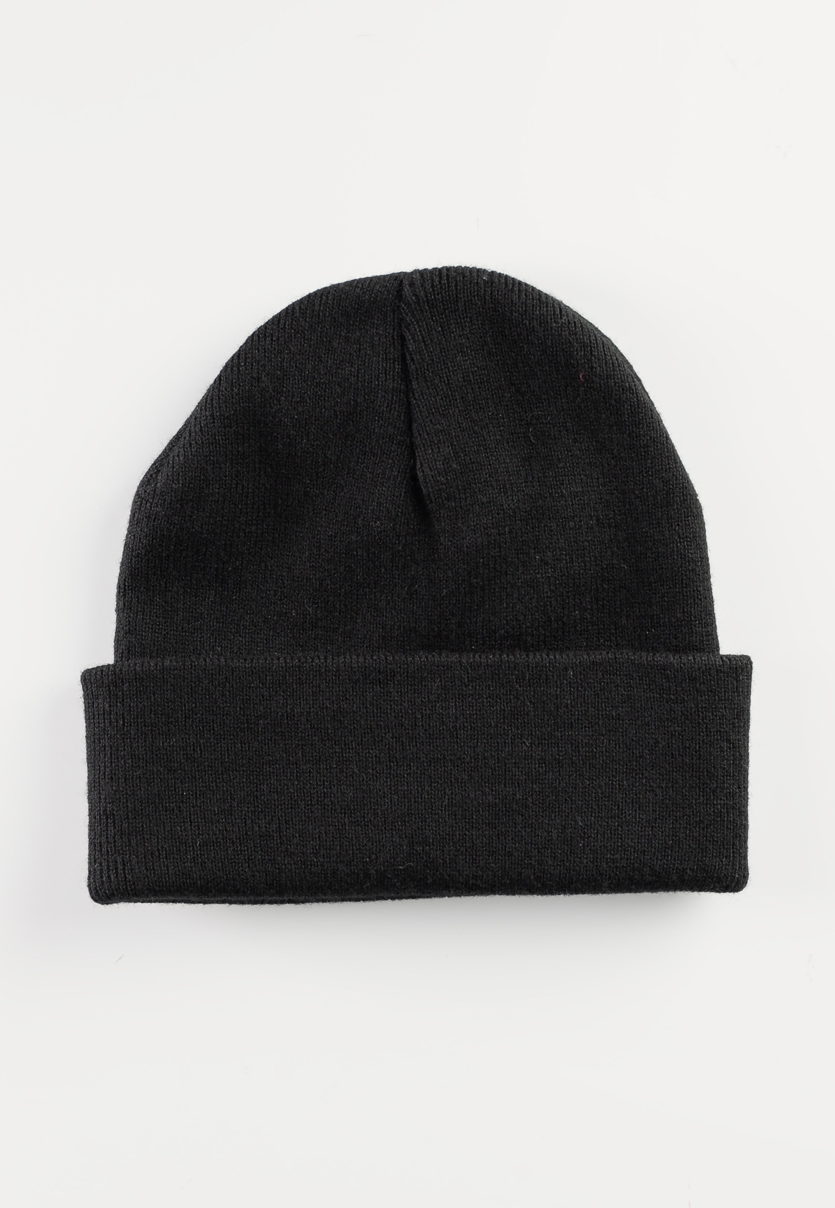 Big Ass Truck I.E. Logo Beanie