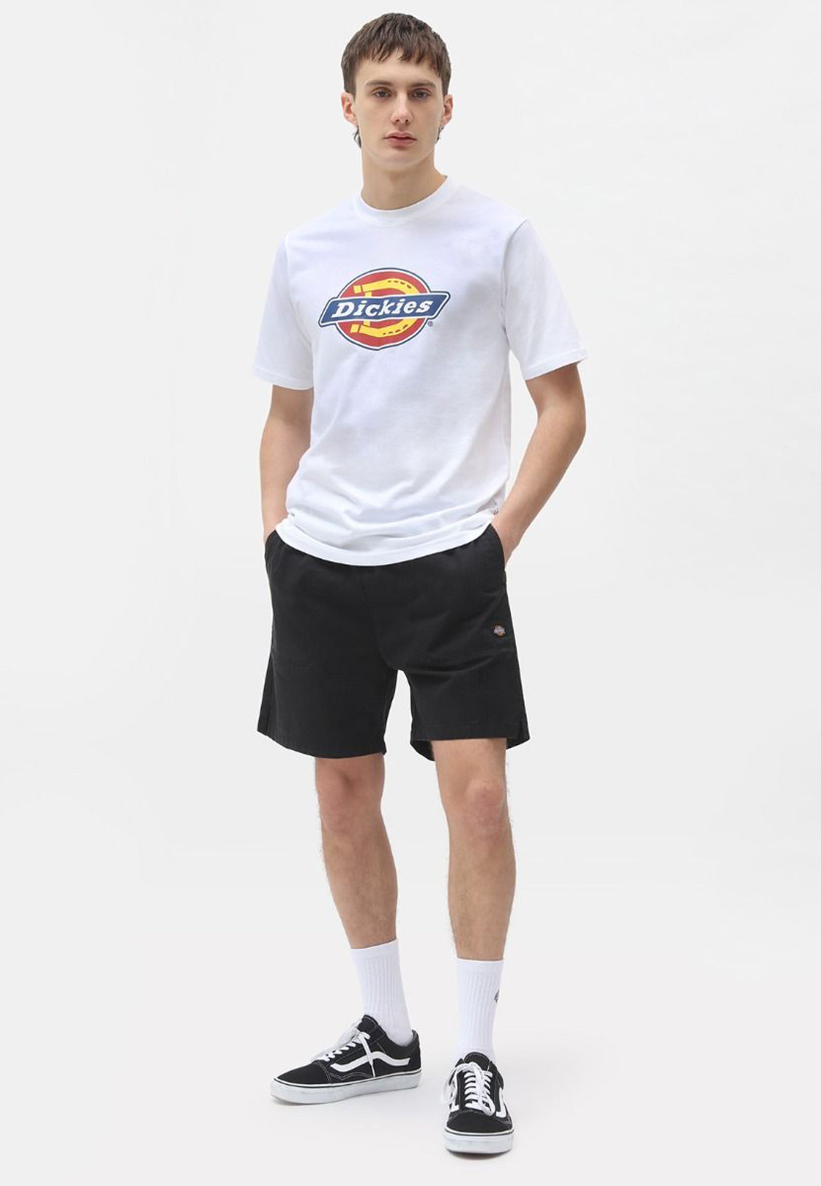 Dickies - Pelican Rapids Black - Shorts | Men-Image