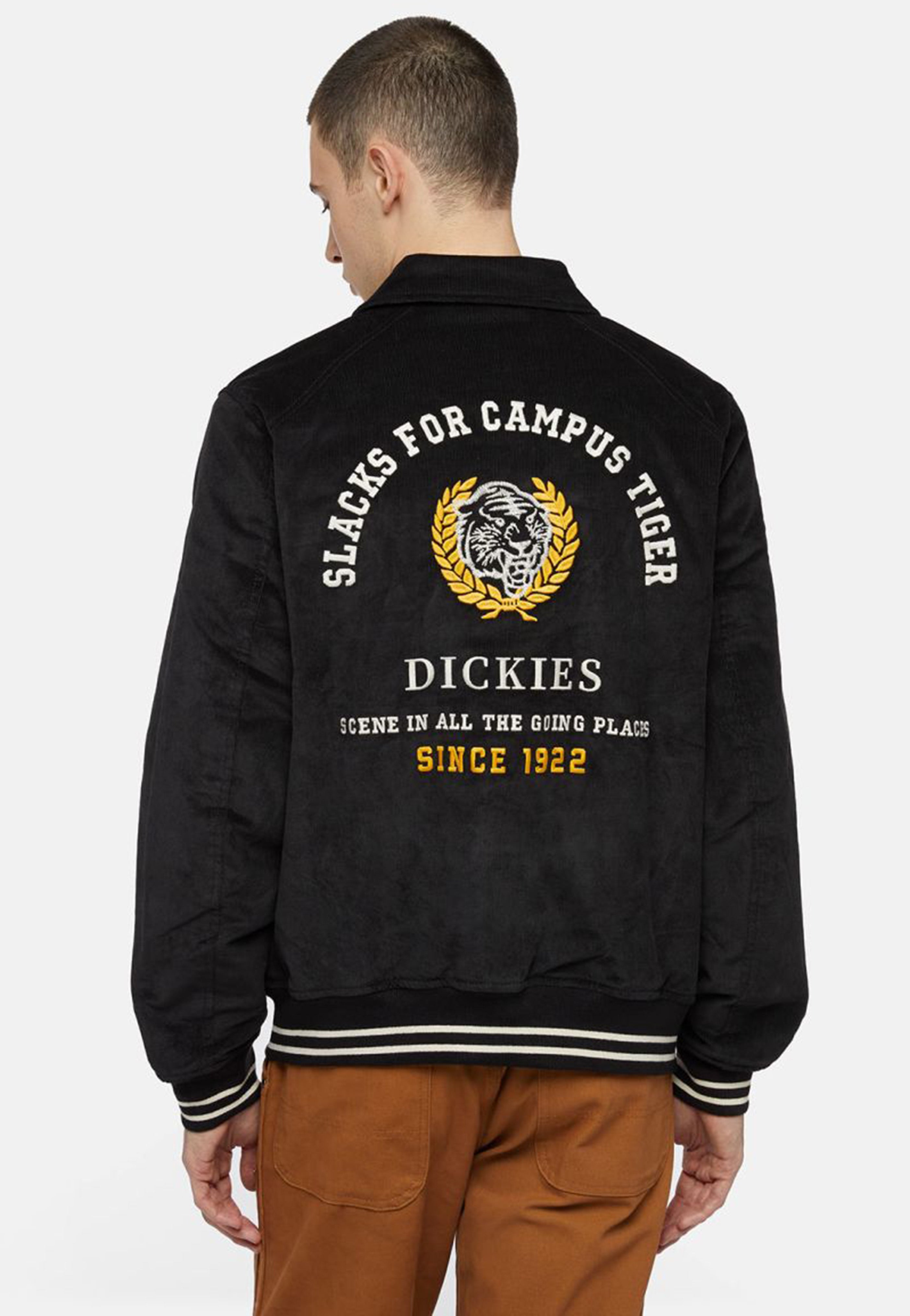 Dickies - Westmoreland Black - Jacket