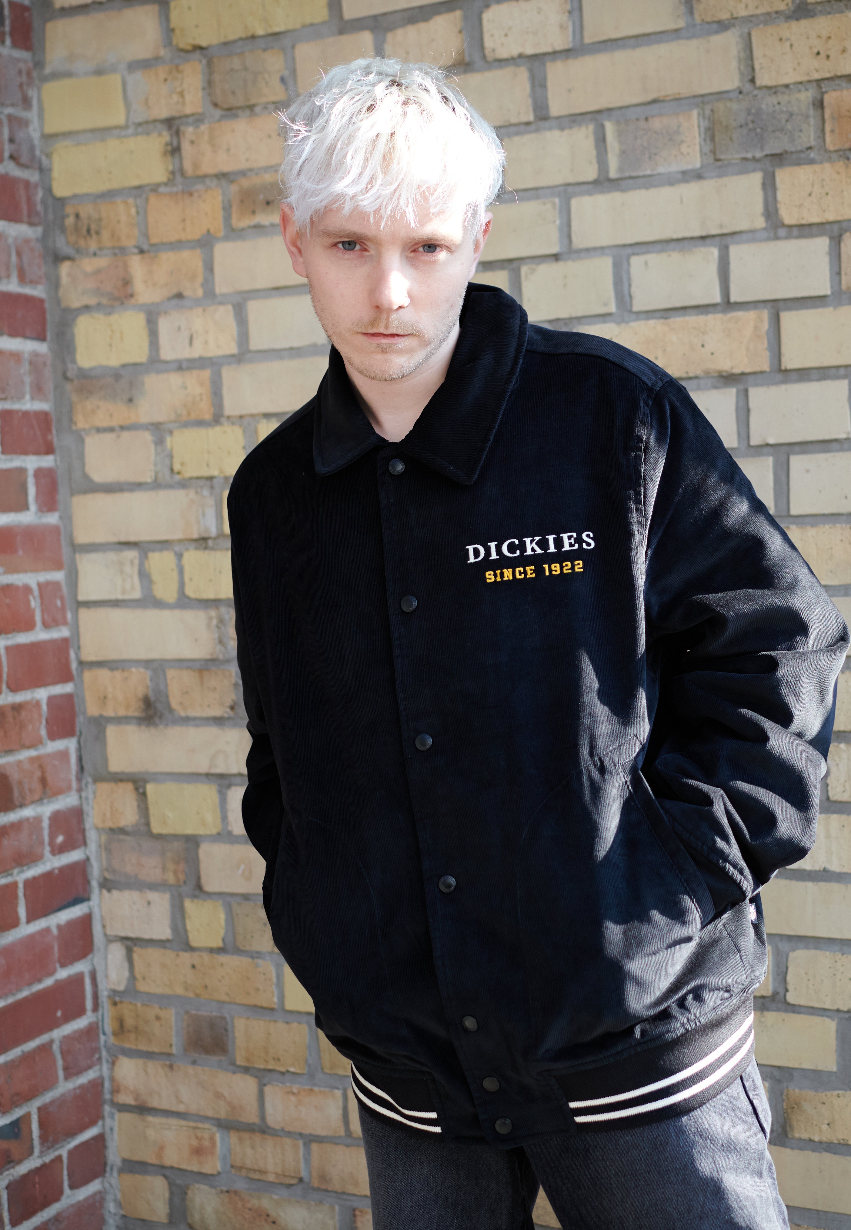 Dickies - Westmoreland Black - Jacket