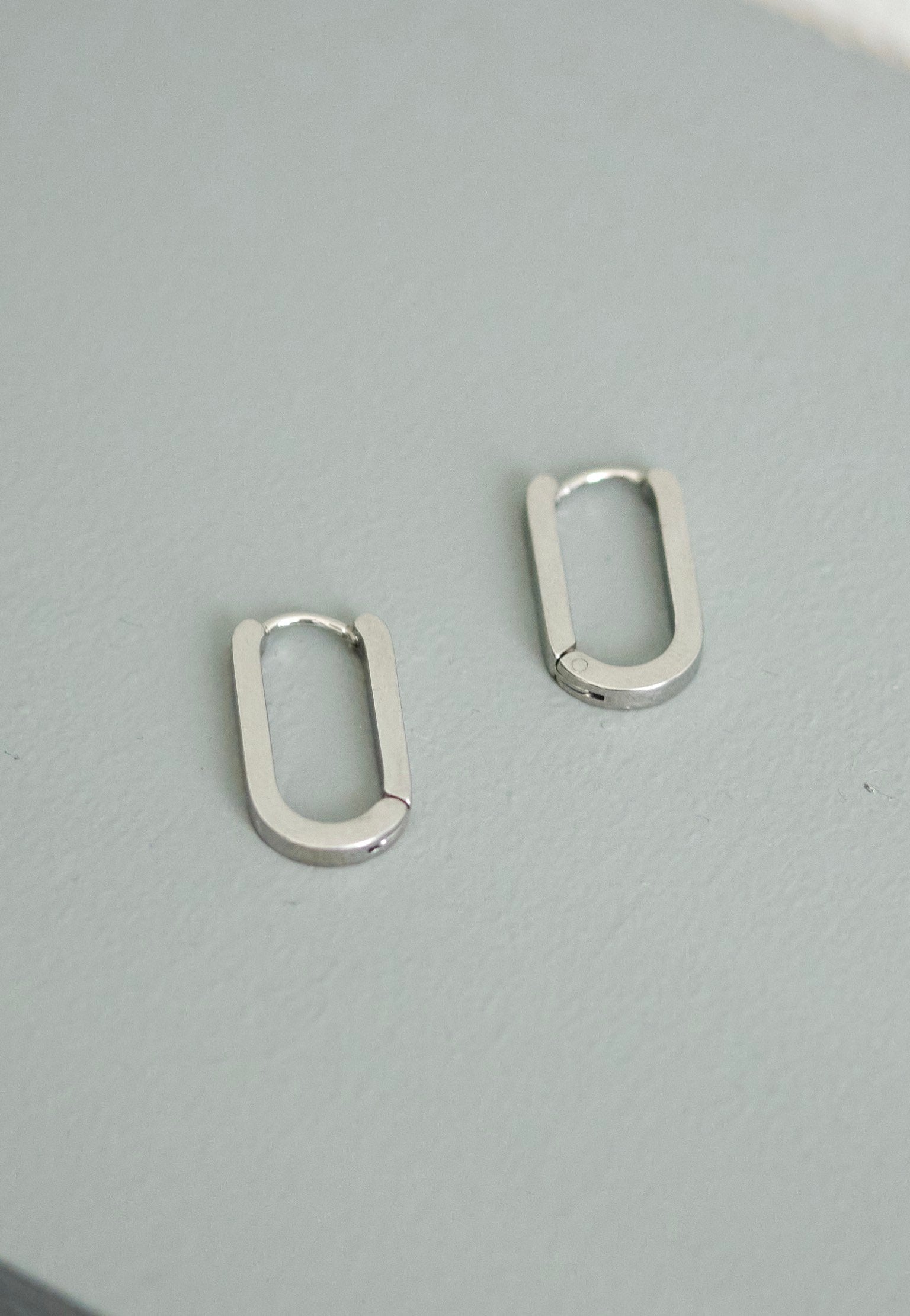 Wildcat - Oval Basic Silver - Earrings
