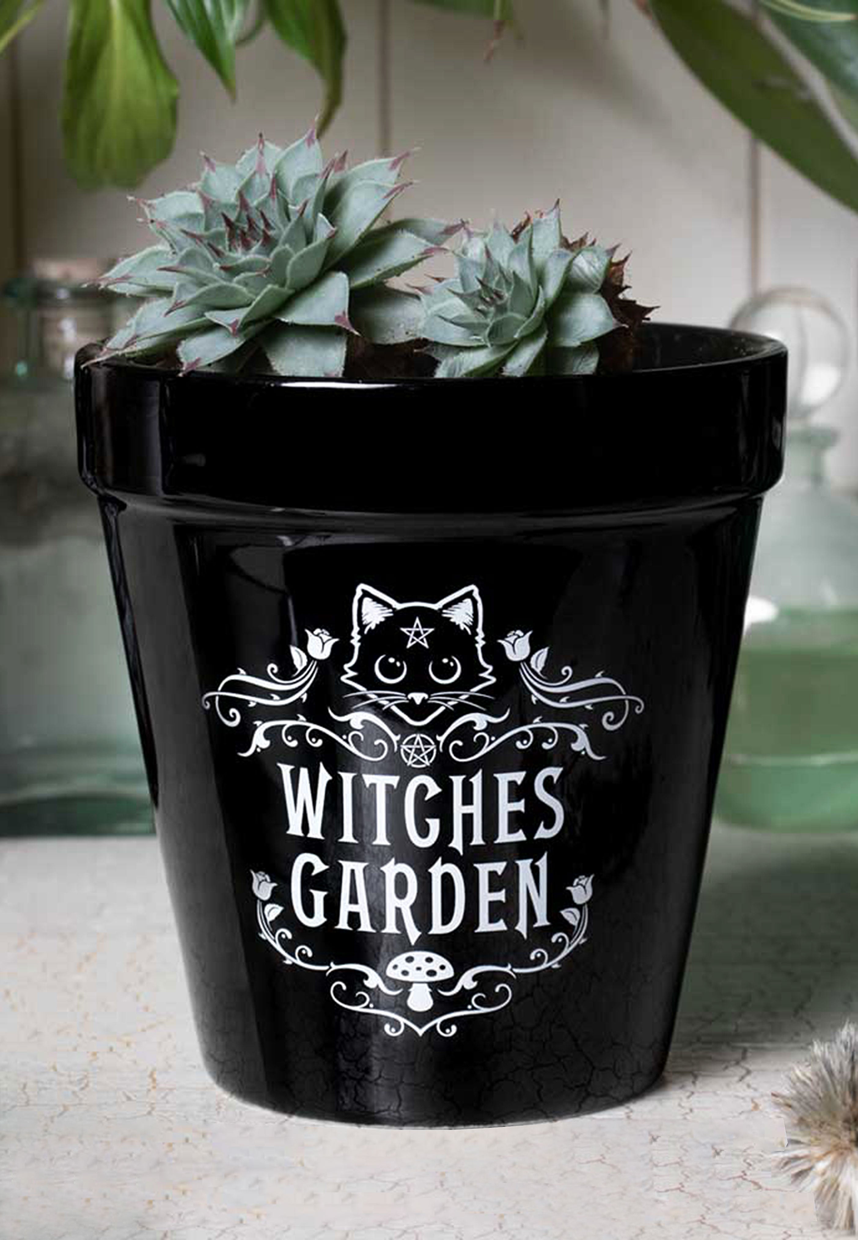 Alchemy England - Witches Garden - Plant Pot