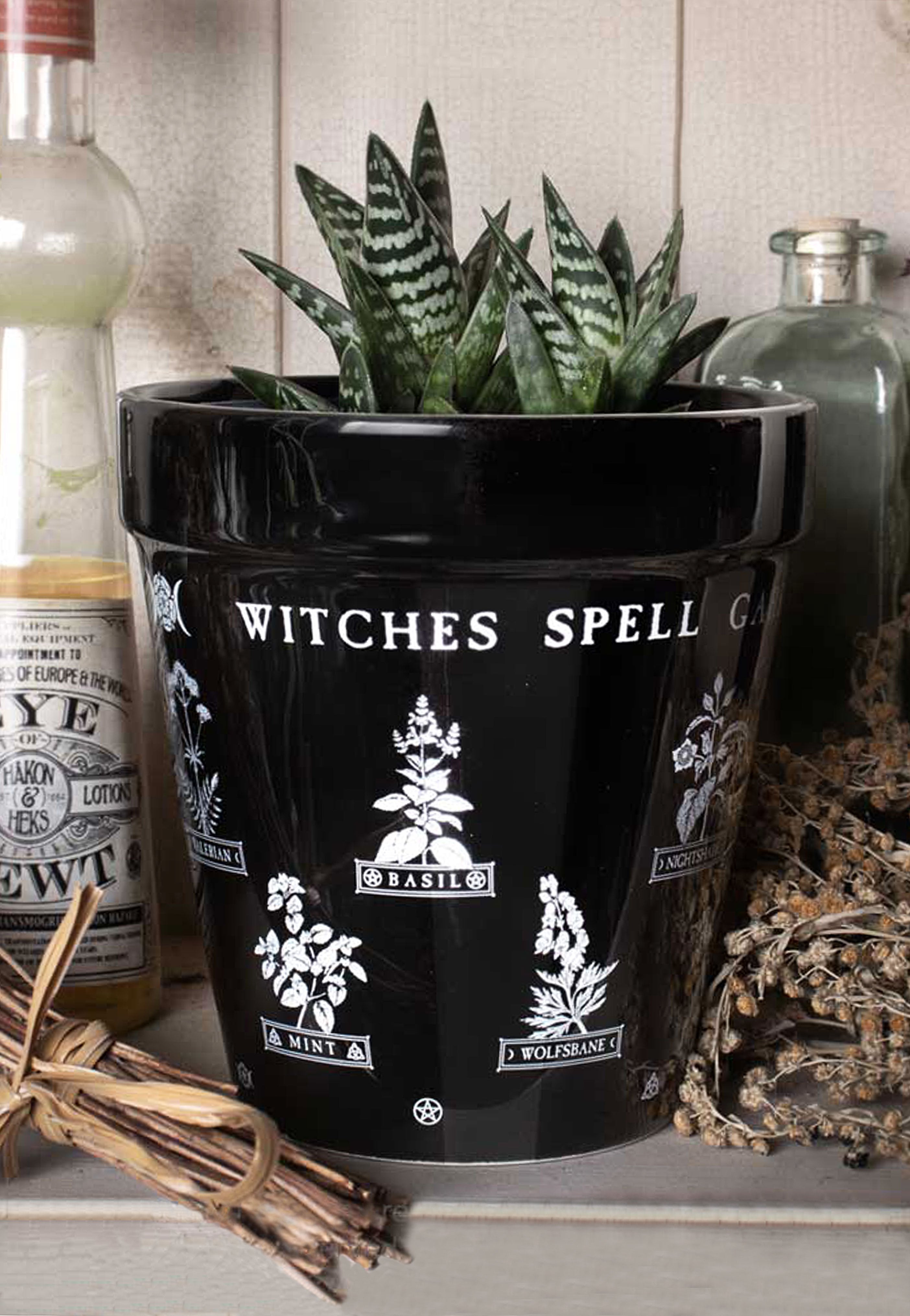Alchemy England - Witches Spell Garden - Plant Pot