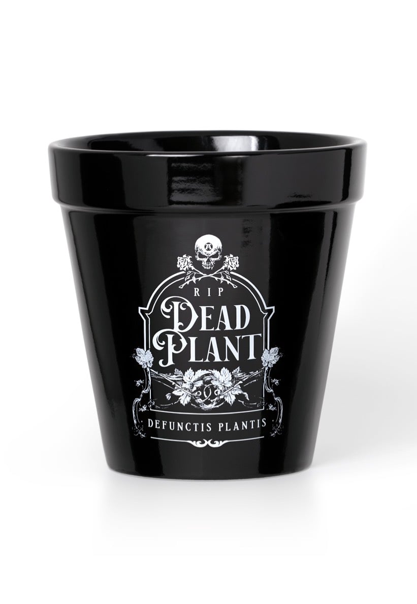 Alchemy England - Dead Plant - Plant Pot