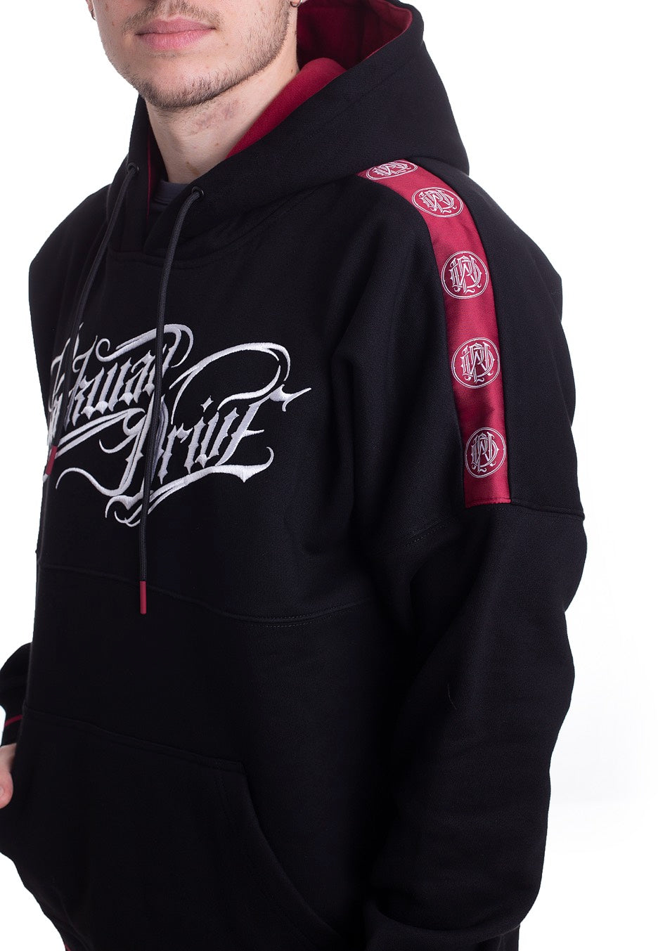 Parkway Drive - Logo Striped - Hoodie | Men-Image