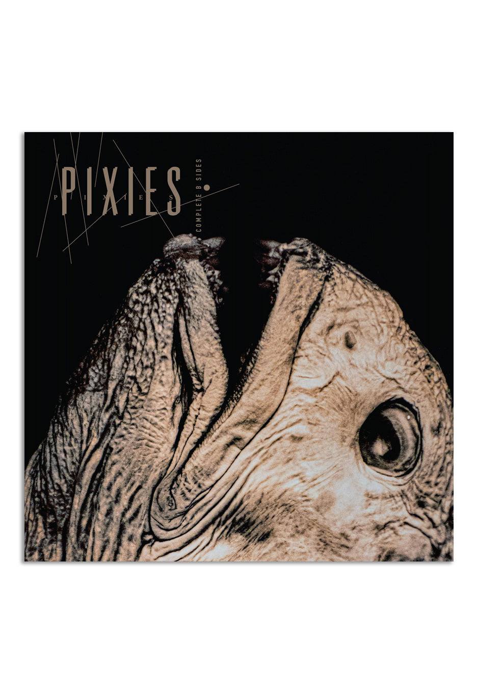 Pixies - Complete B-Sides 1988-1997 - 2 CD | Neutral-Image