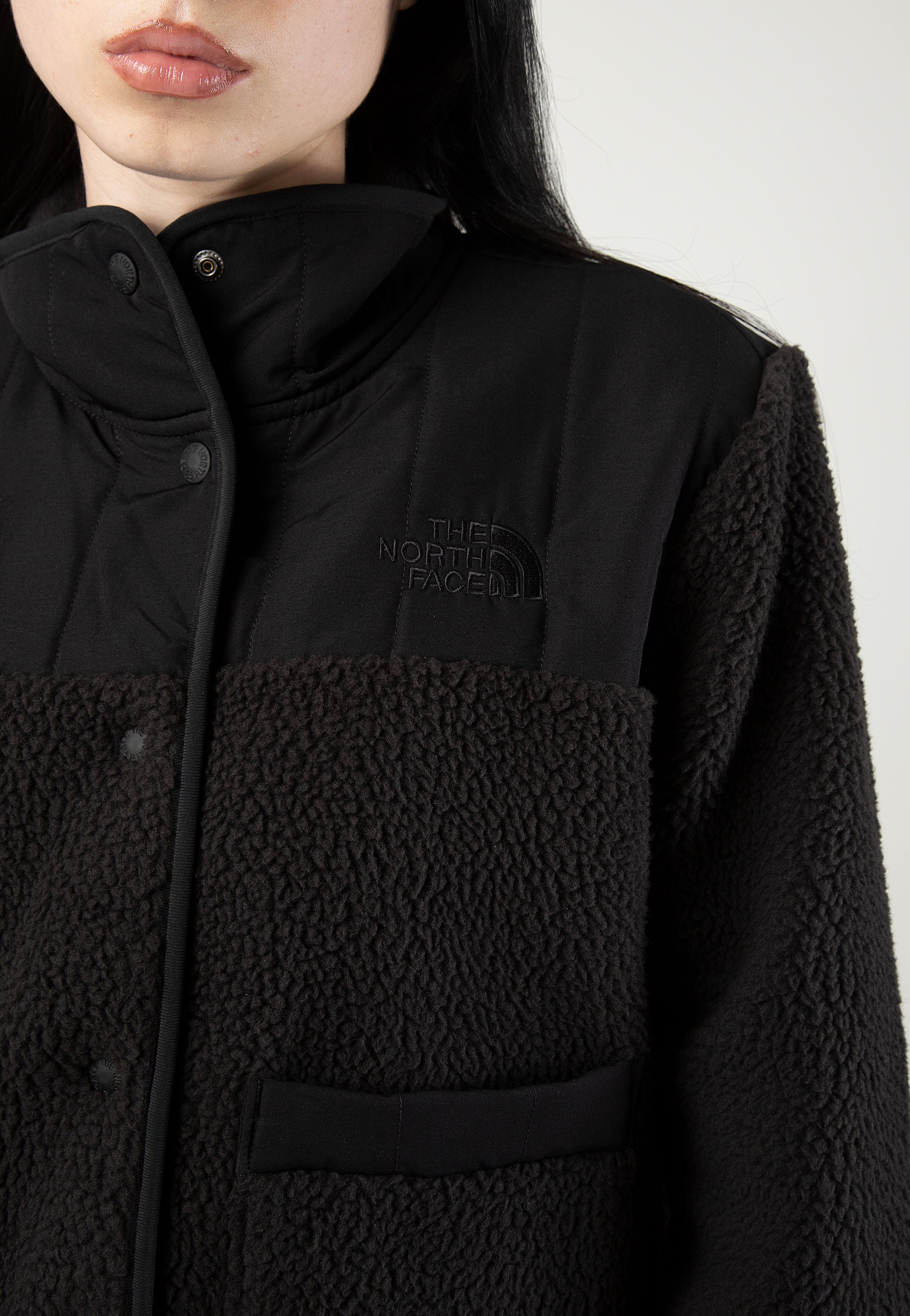 The North Face - Women’s Cragmont Fleece Tnf Black - Jacket | Women-Image