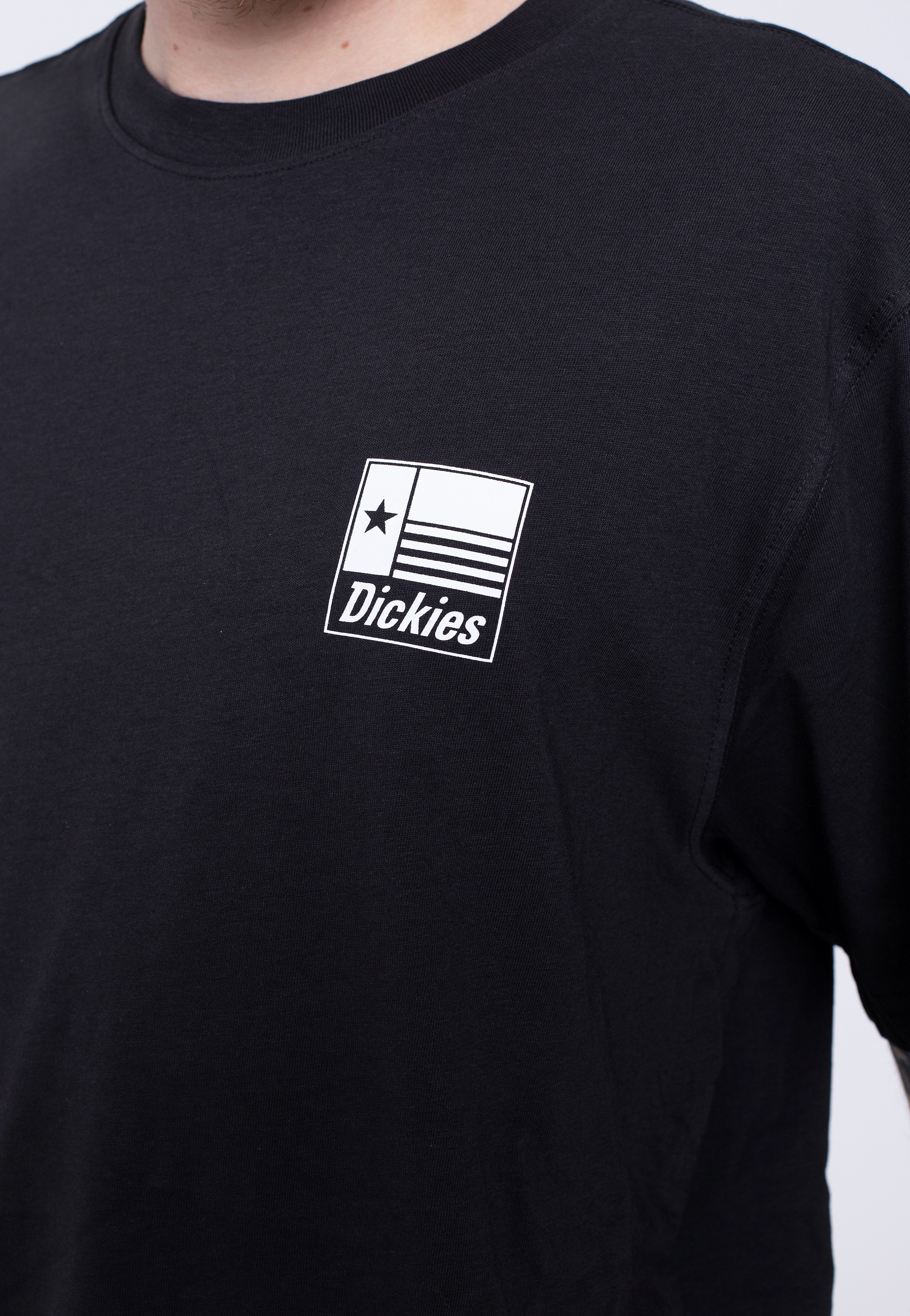 Dickies - Taylor Black - T-Shirt