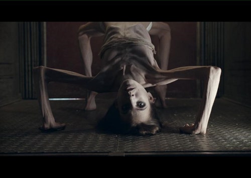 Belphegor