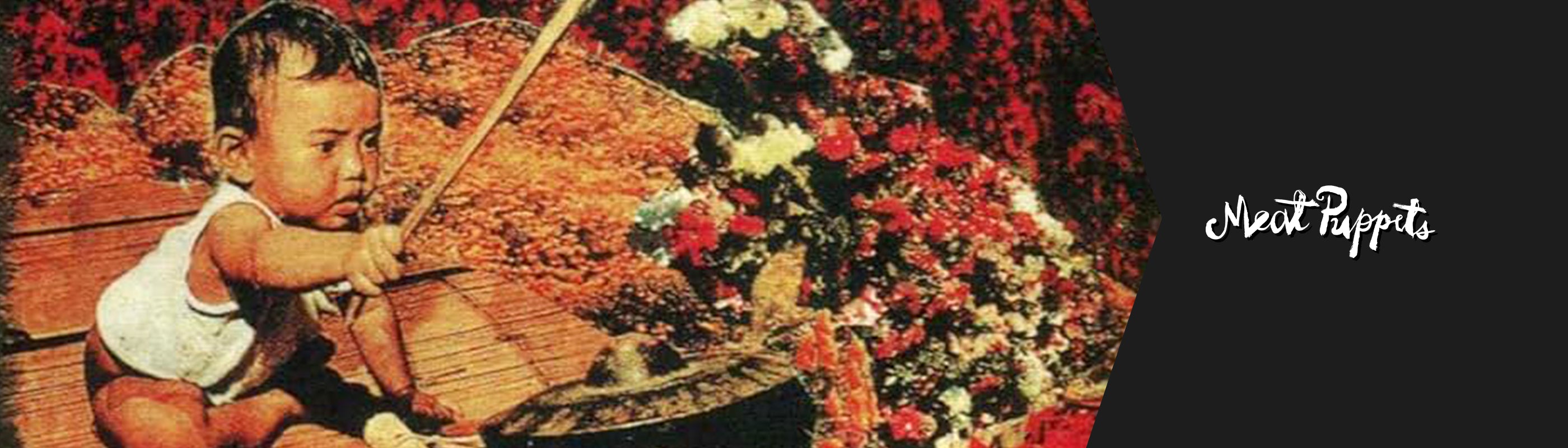 Meat Puppets