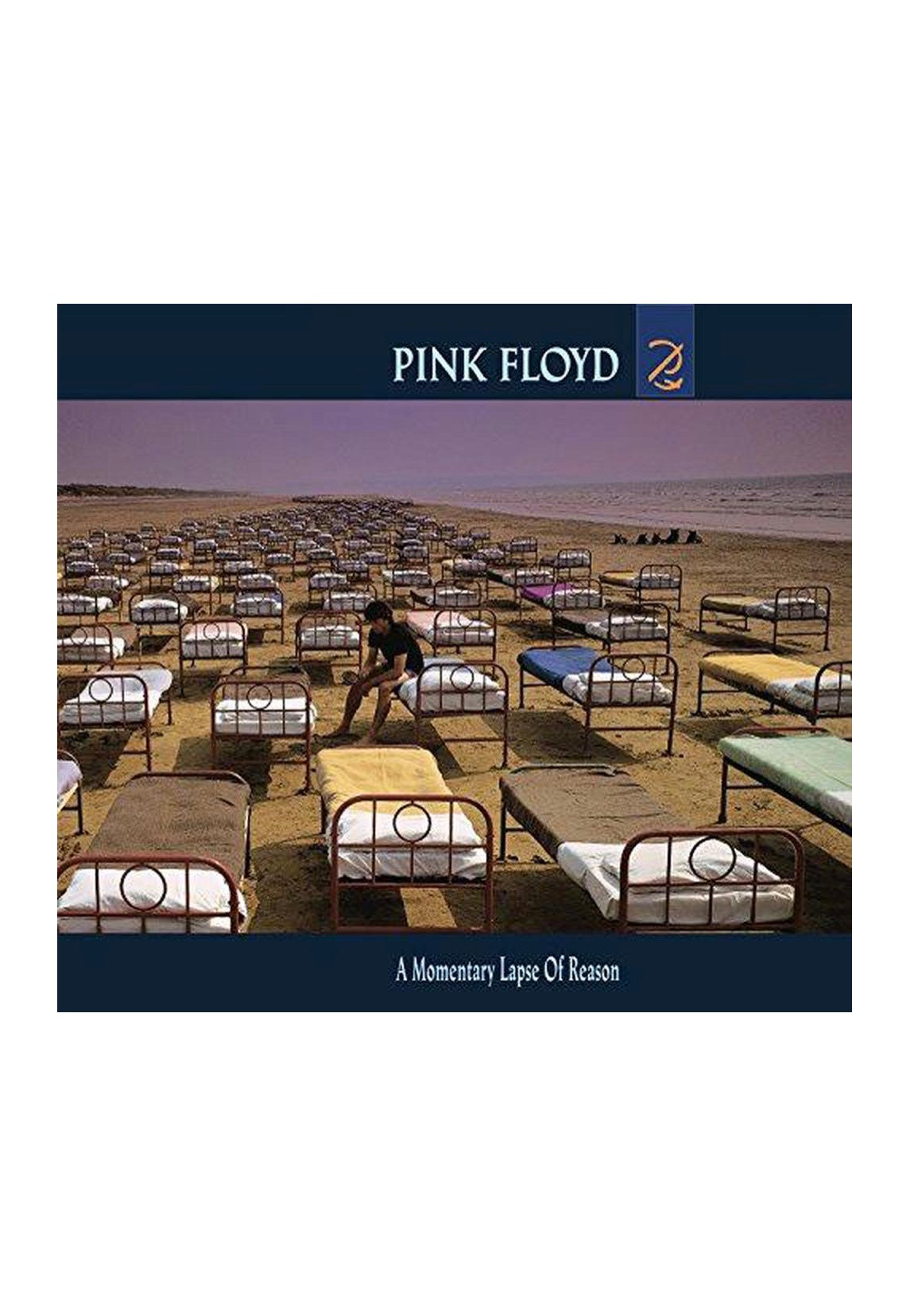 LP 帯付 Pink Floyd MOMENTARY LAPSE REASON Pink Floyd - A Momentary Lapse Of Reason (Remastered) - Vinyl