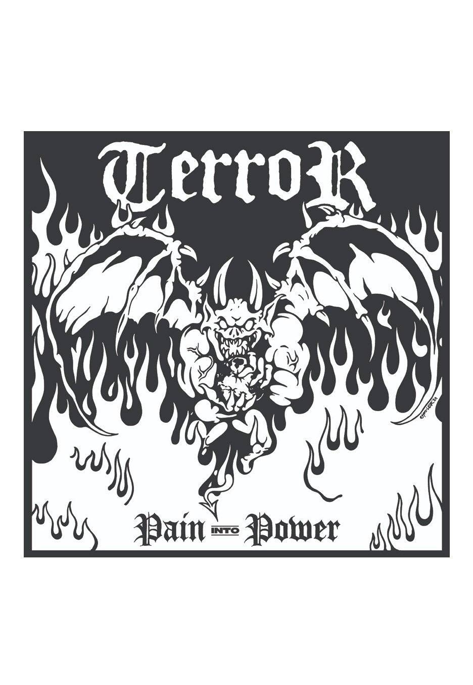 Terror - Pain Into Power - CD