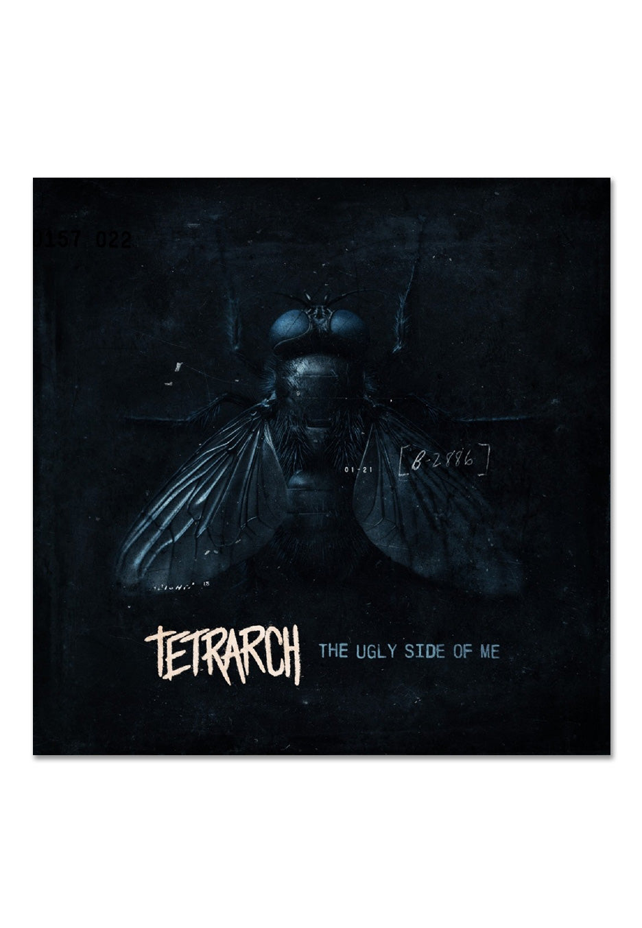 Tetrarch - The Ugly Side Of Me Crystal Clear - Colored Vinyl | Neutral-Image
