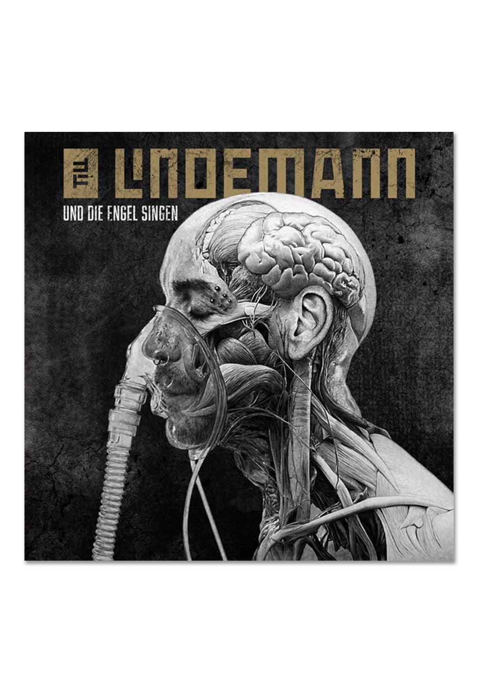 Till Lindemann - Und Die Engel Singen - Digipak CD | Neutral-Image