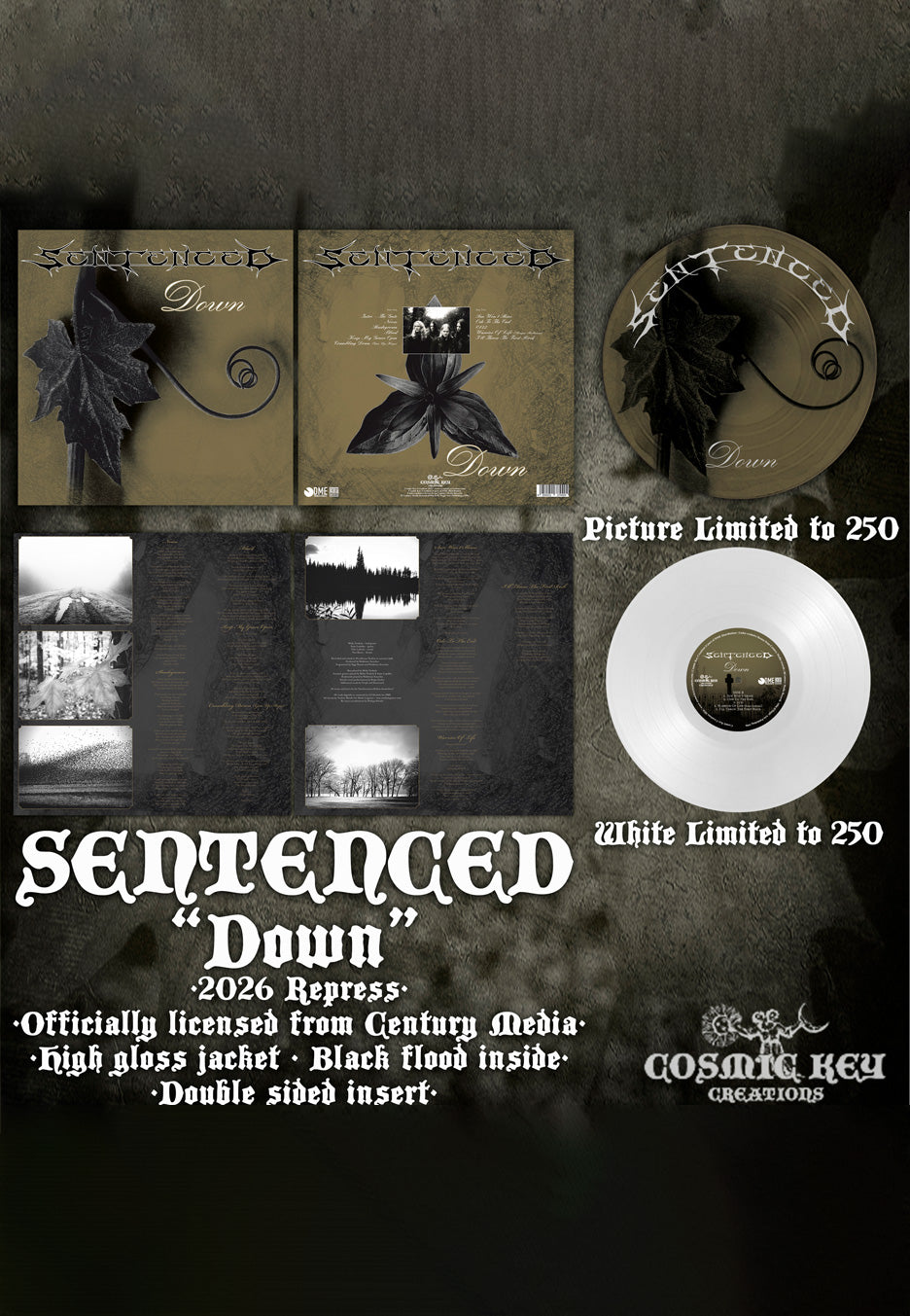 Sentenced Down Picture Vinyl
