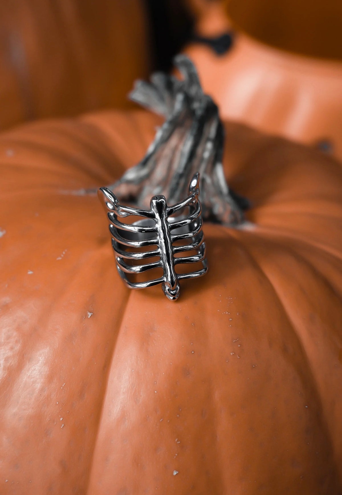 Lively Ghosts Caged Silver Ring