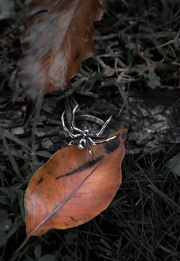 Lively Ghosts - Aranea Silver - Ring | Neutral-Image