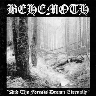 And the Forests Dream Eternally