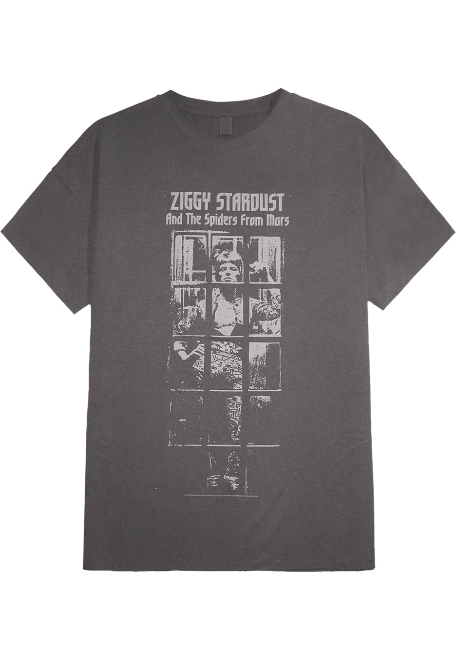David Bowie - Ziggy Stardust Grey - T-Shirt | Neutral-Image