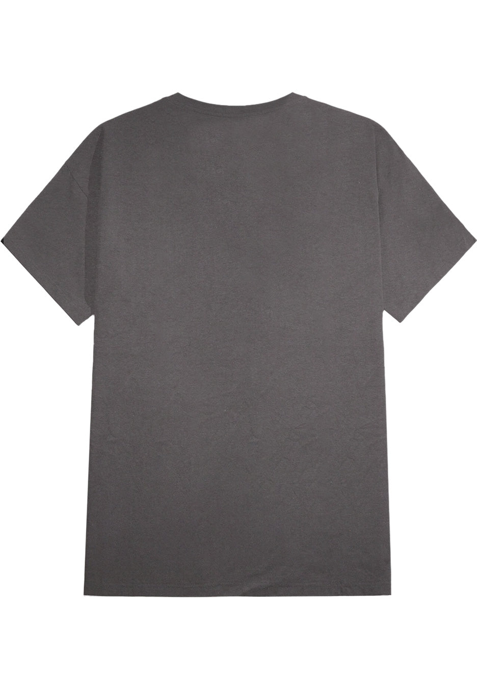David Bowie - Ziggy Stardust Grey - T-Shirt | Neutral-Image