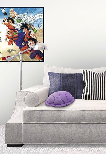 Dragon Ball - Master Roshi's Turtle Shell - Pillow | Neutral-Image