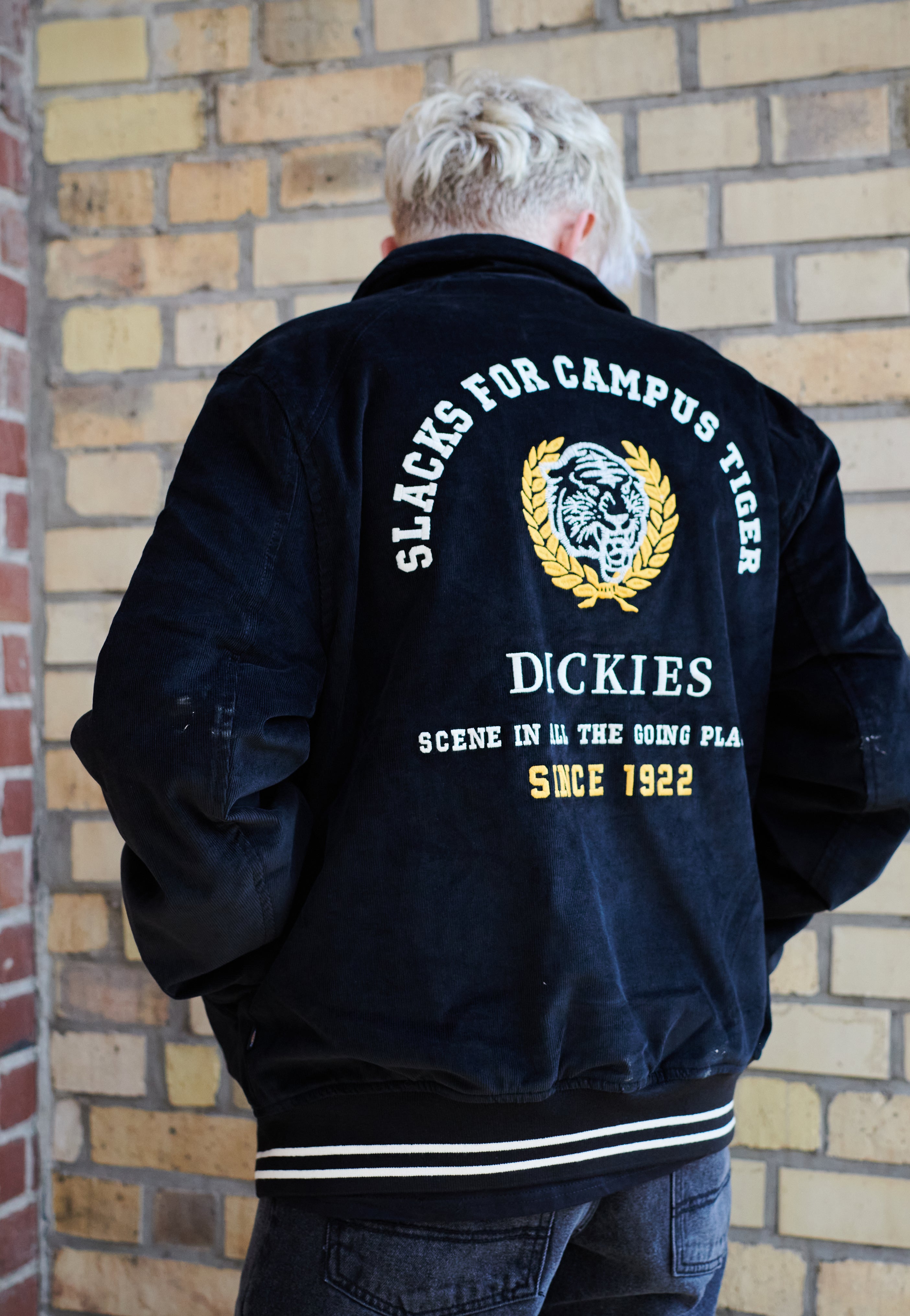 Dickies - Westmoreland Black - Jacket