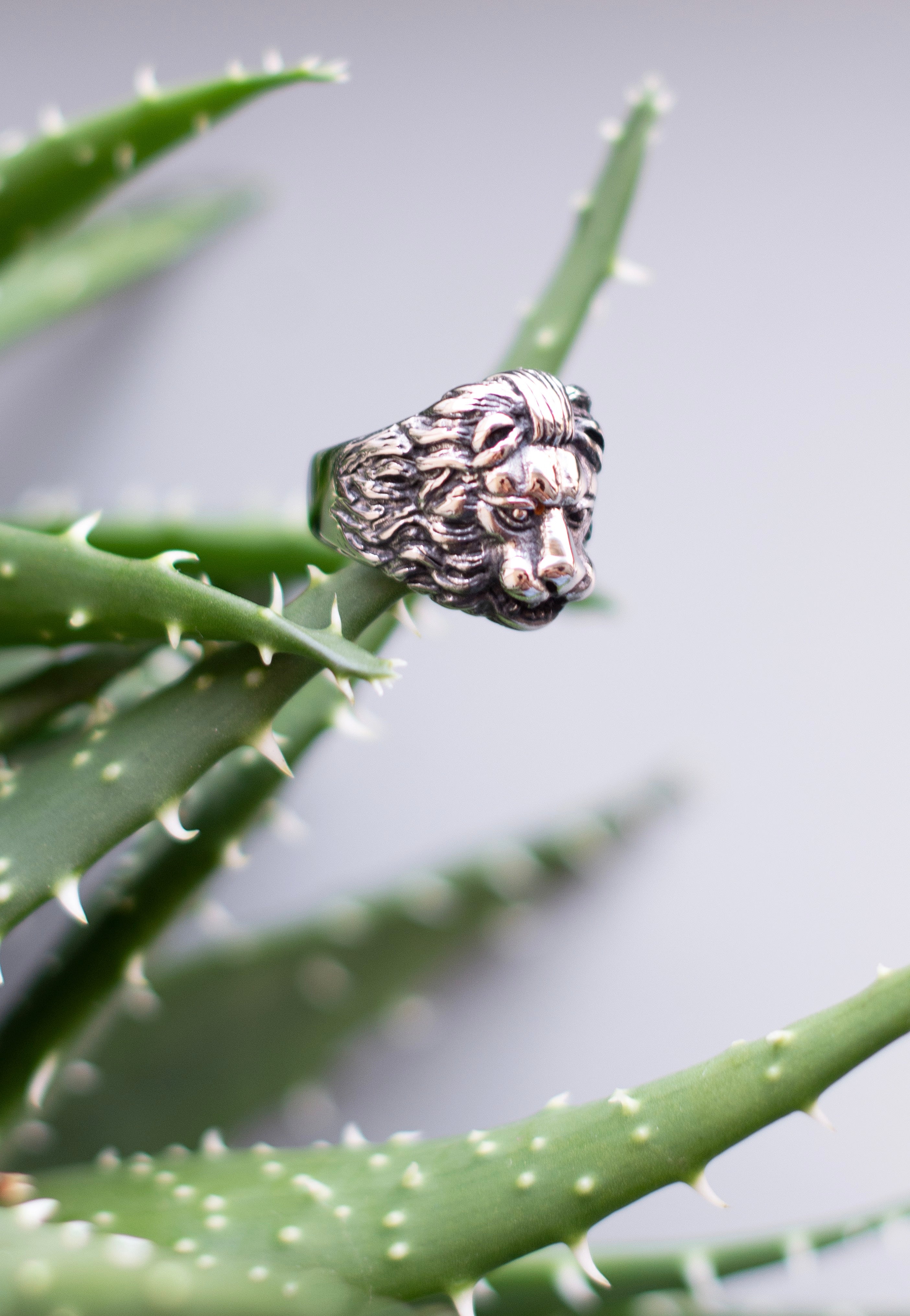 etNox - Löwenkopf Silver - Ring | Neutral-Image