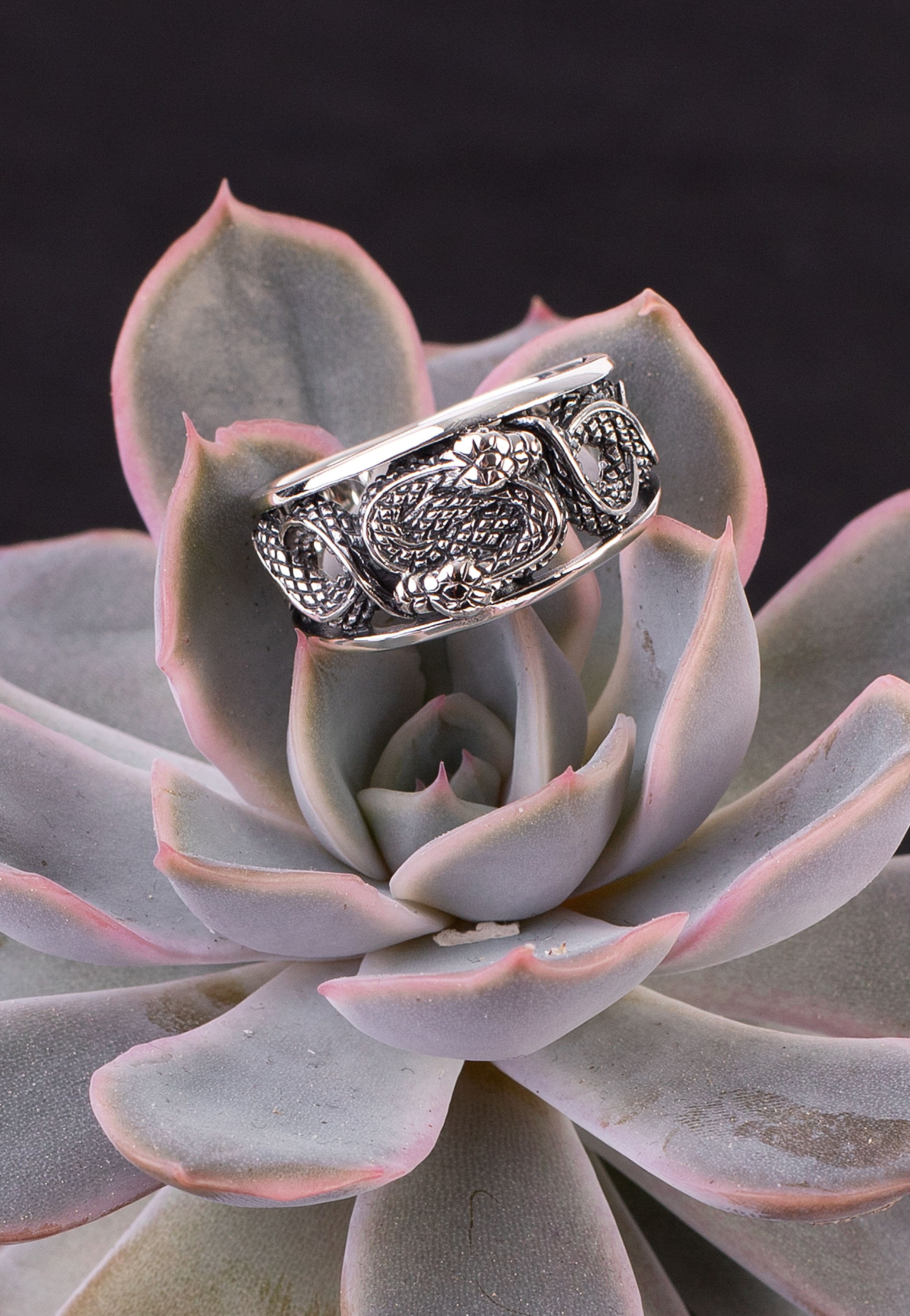 etNox - Doppelschlange - Ring | Neutral-Image
