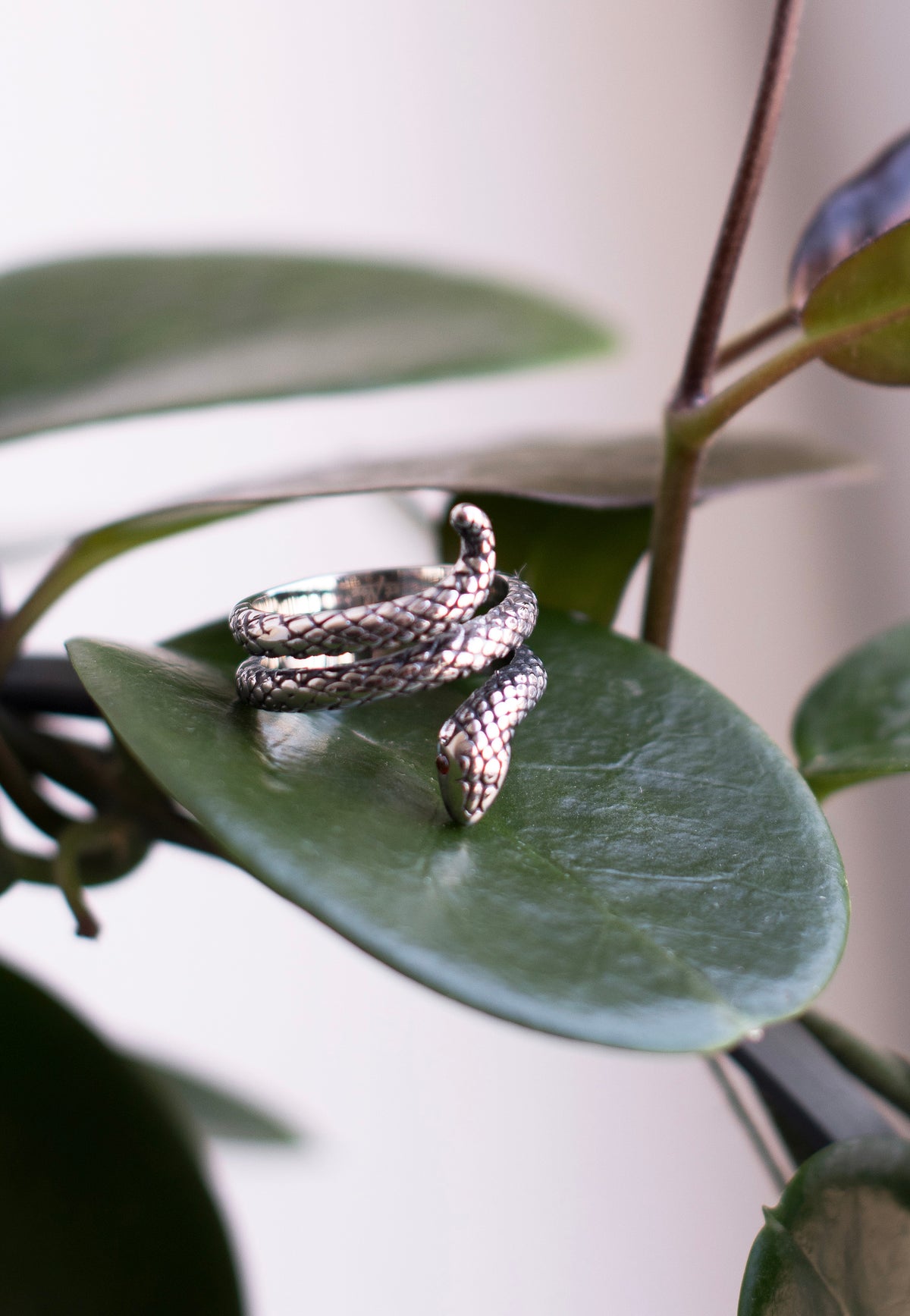 etNox Große Schlange Silver Ring