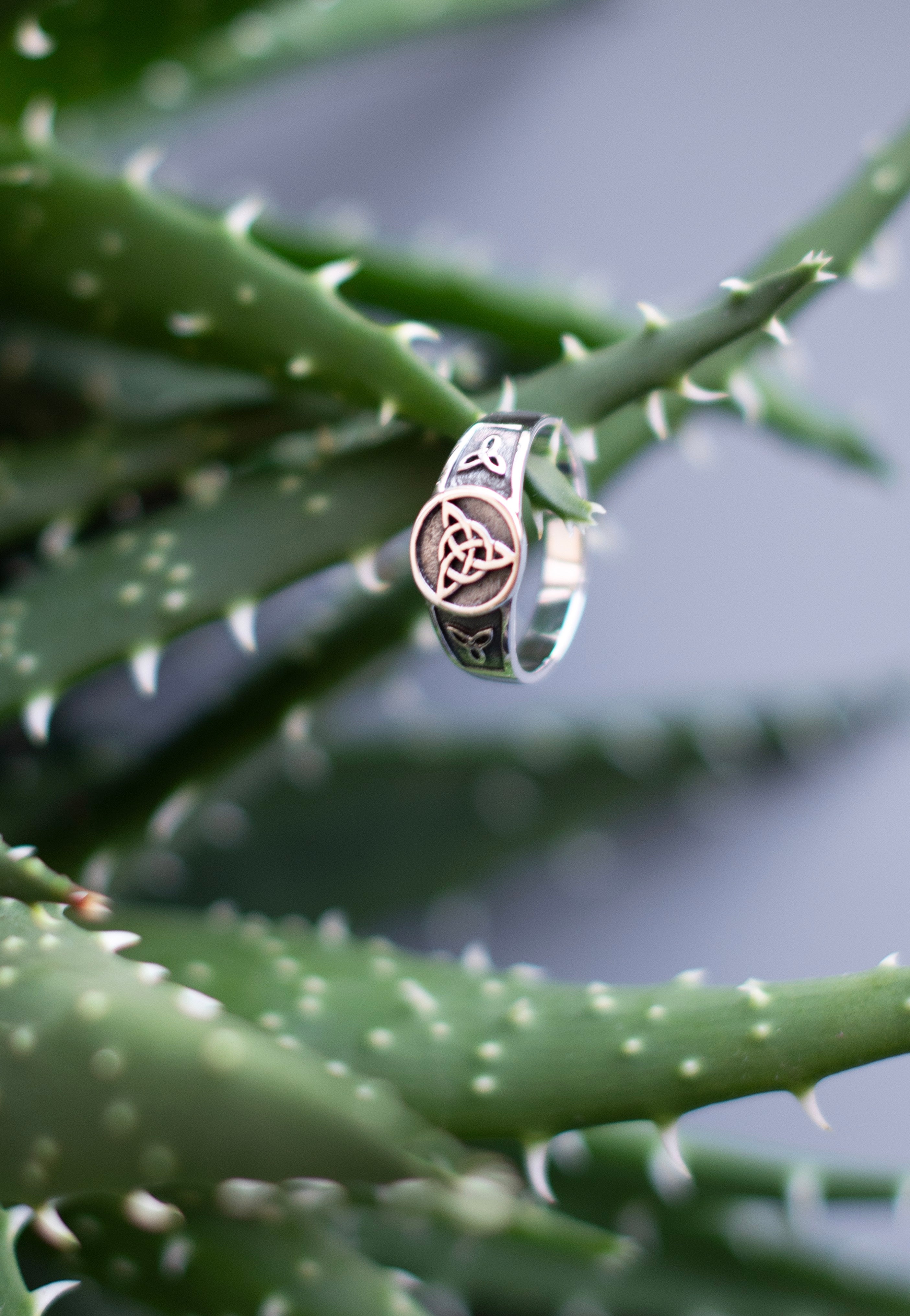 etNox - Keltischer Knoten Silver - Ring | Neutral-Image
