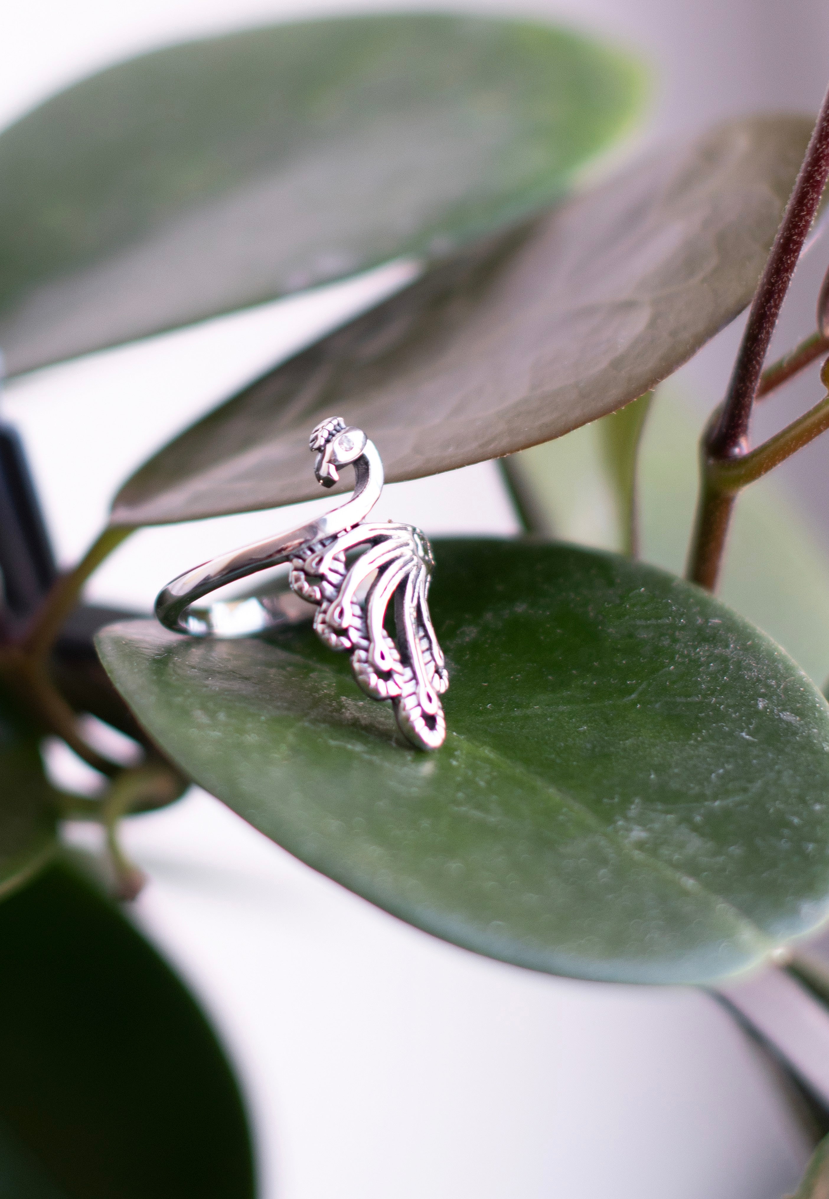 etNox - Pfau Silver - Ring | Neutral-Image