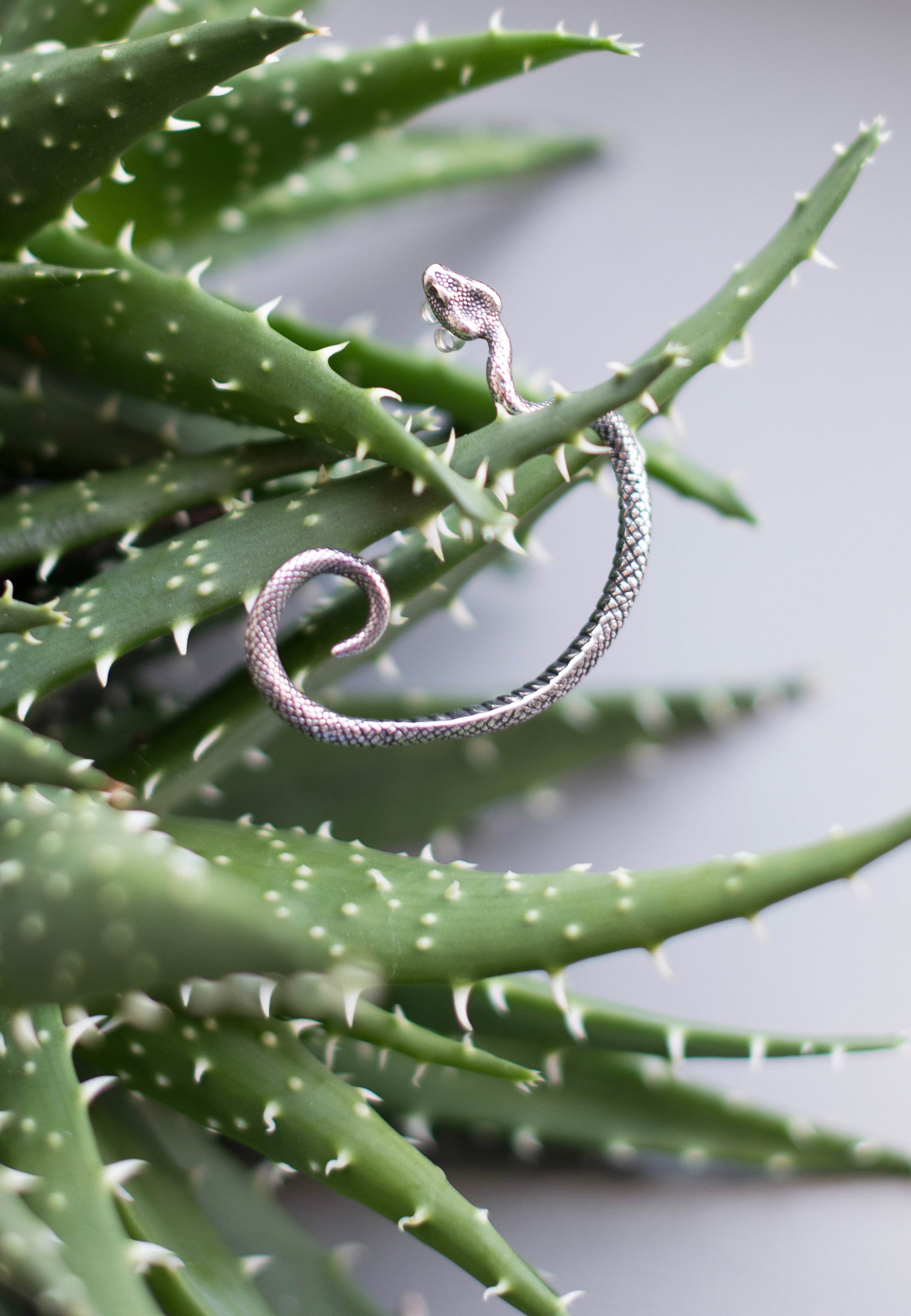 etNox - Schlange II Rechts Silver - Earring | Neutral-Image