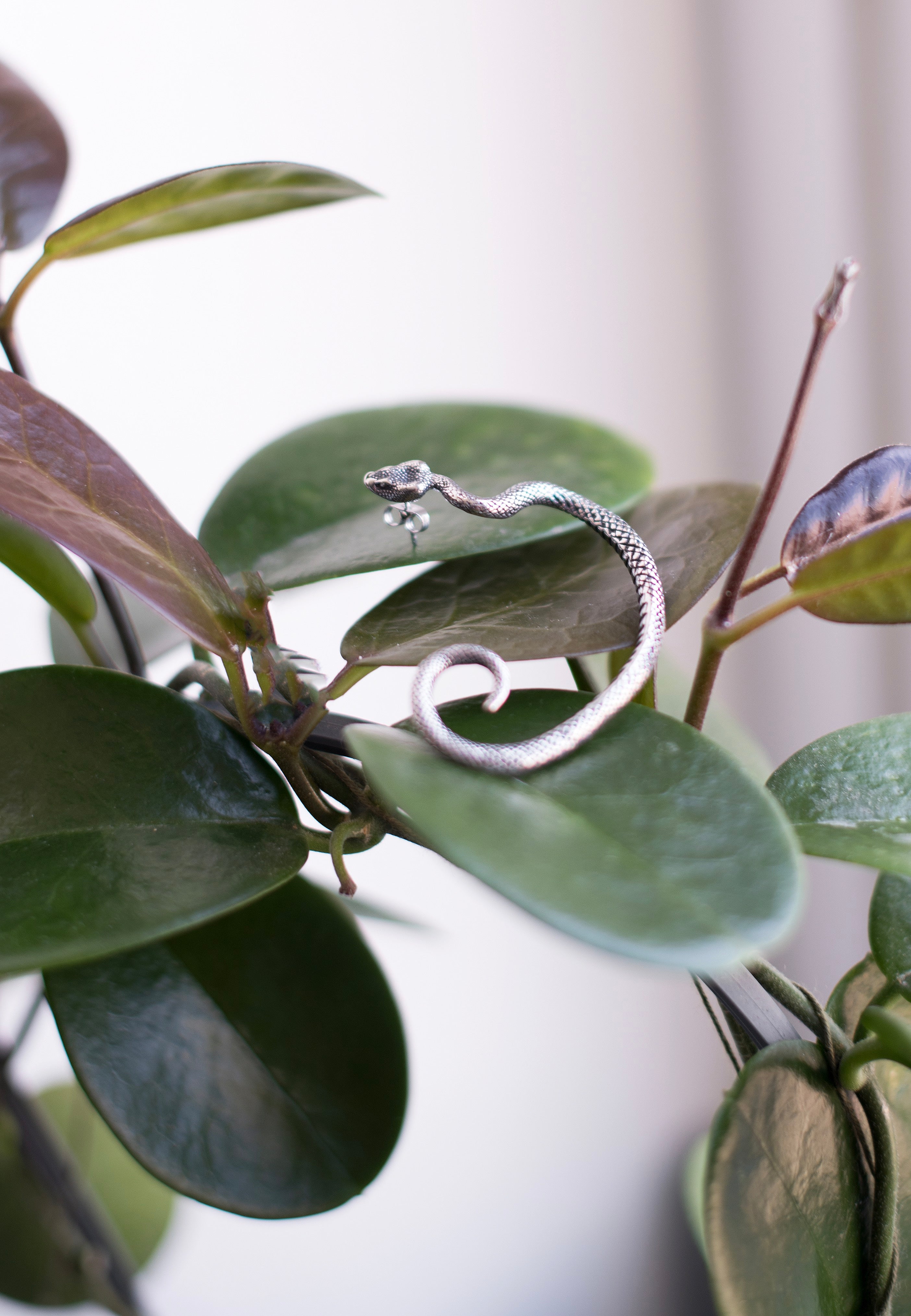 etNox - Schlange II Rechts Silver - Earring | Neutral-Image
