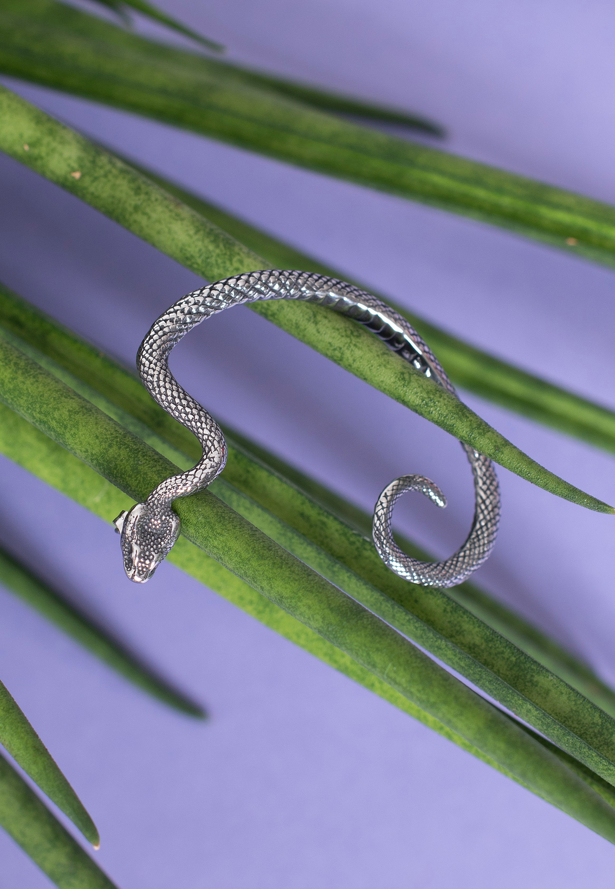 etNox - Schlange II Rechts Silver - Earring | Neutral-Image