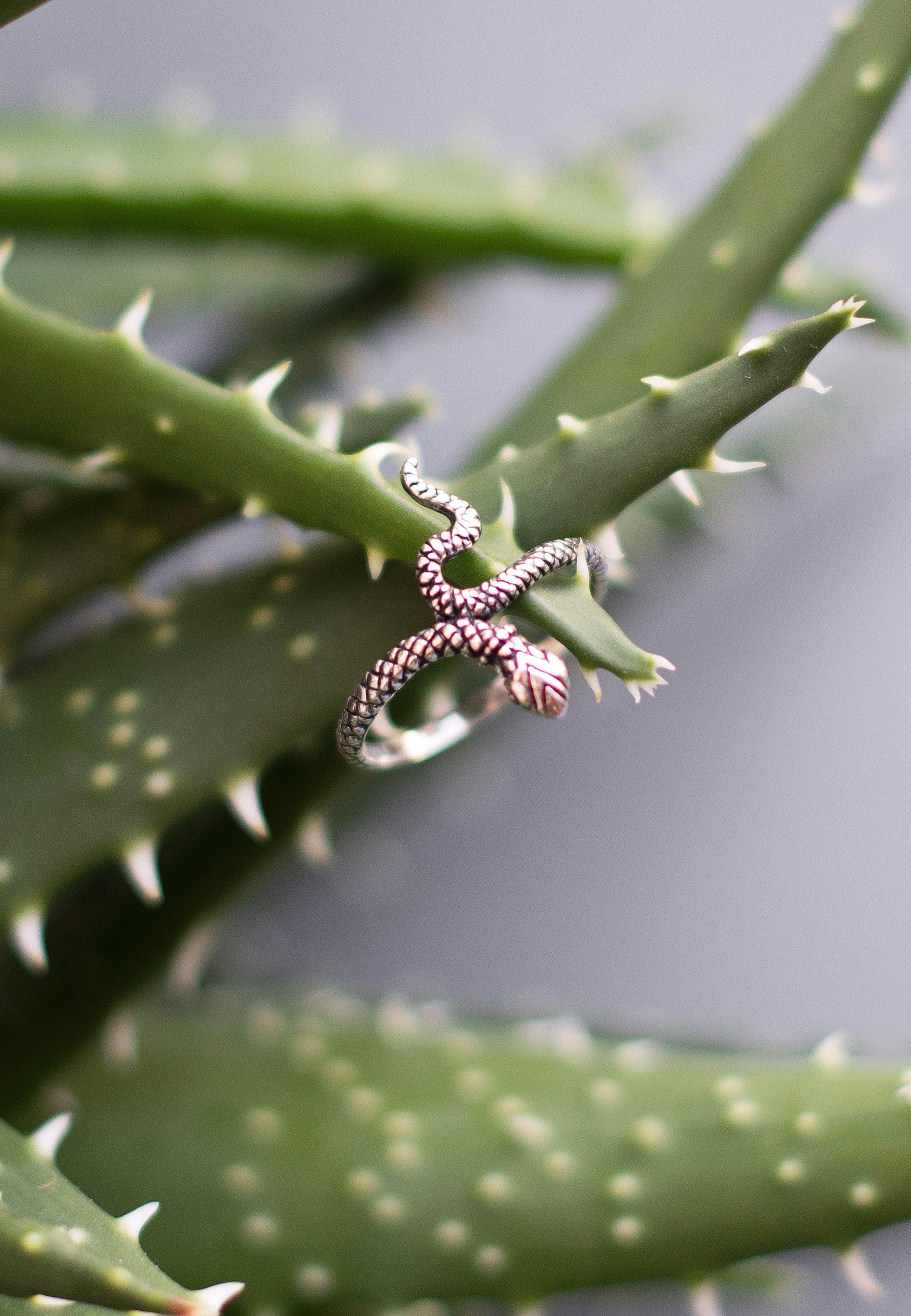 etNox - Snake II Silver - Ring | Neutral-Image