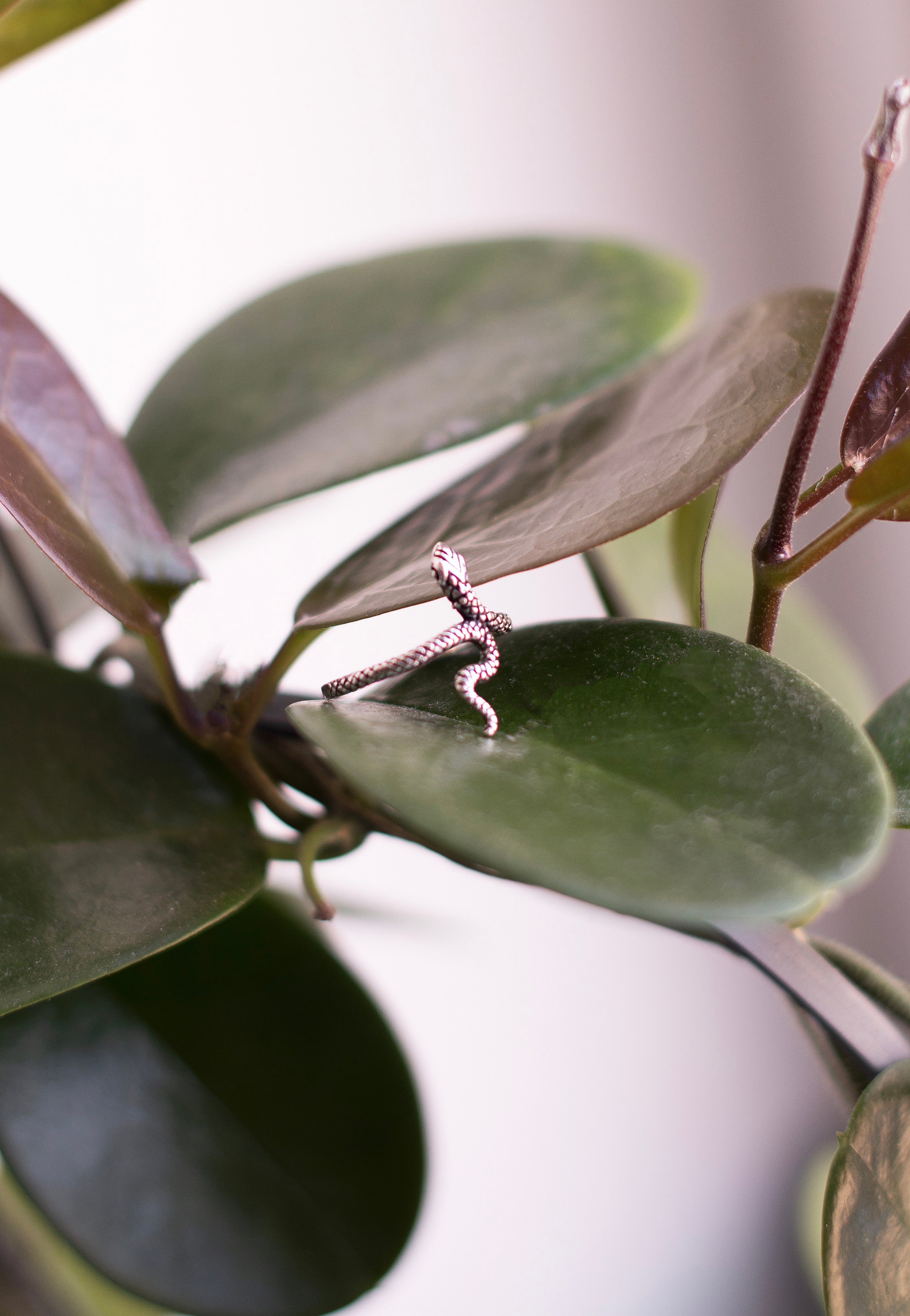etNox - Snake II Silver - Ring | Neutral-Image