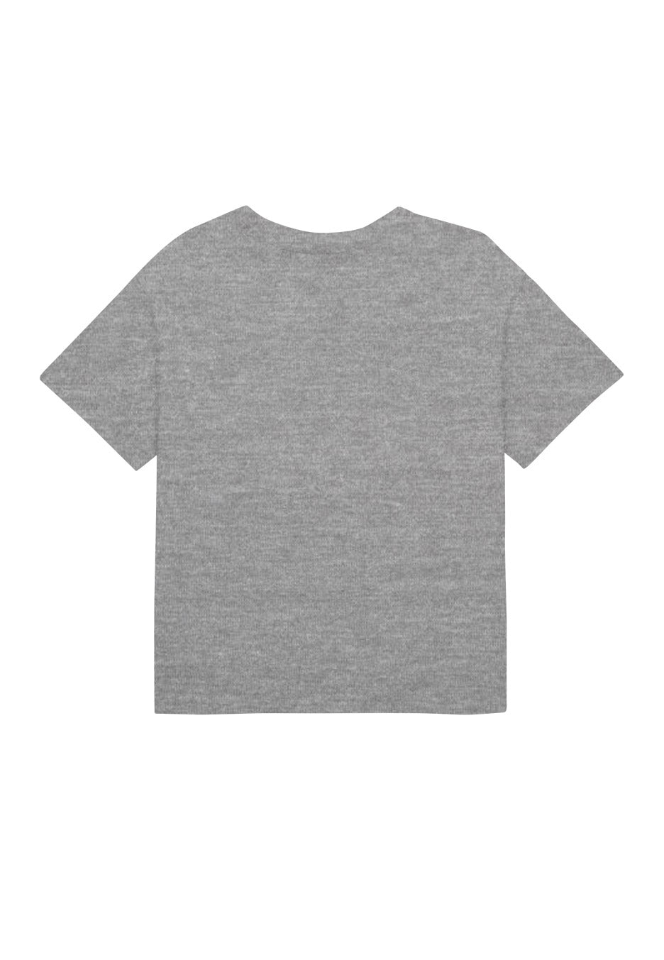 Fleetwood Mac - Dove Cropped Grey - T-Shirt | Neutral-Image