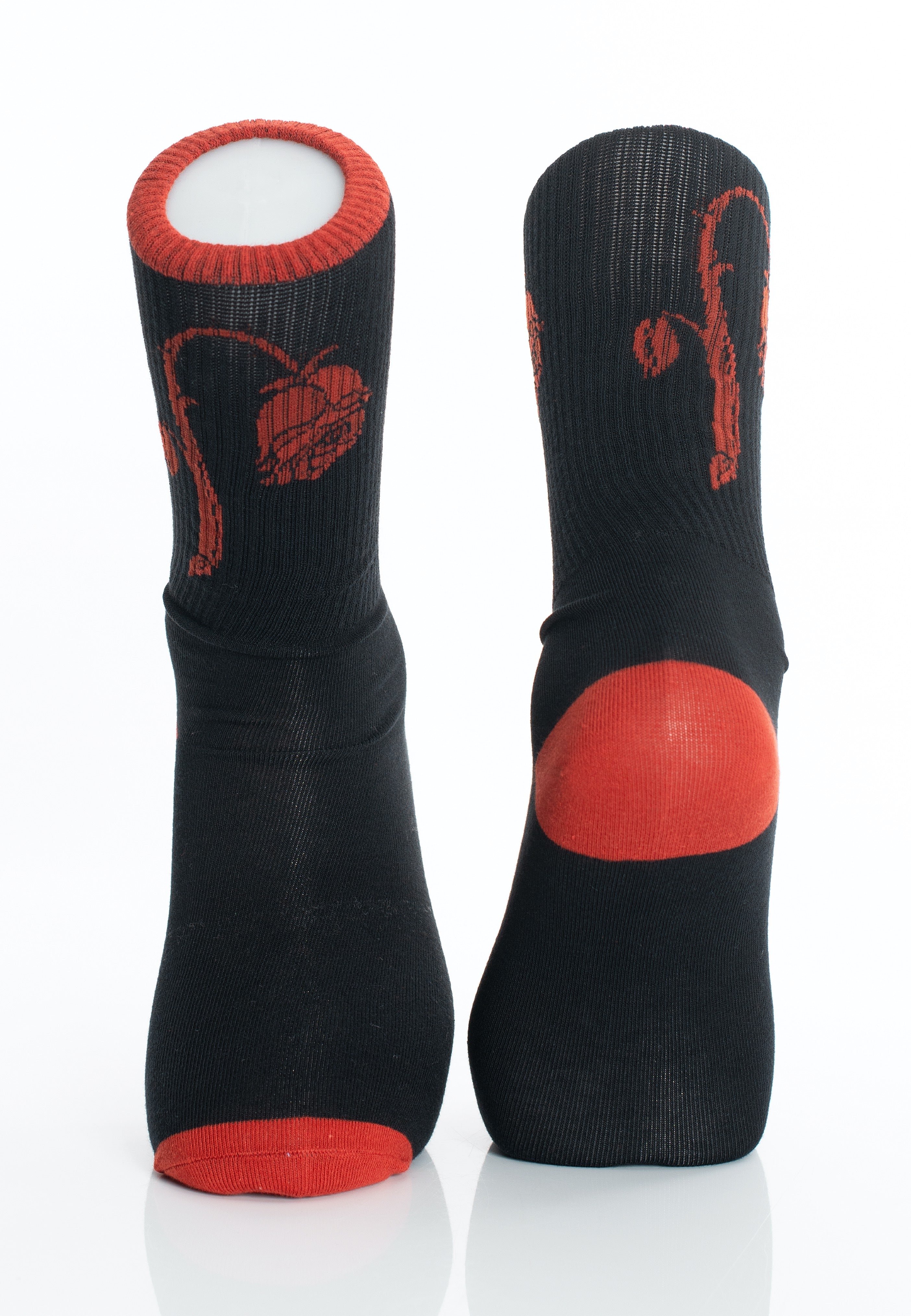 Foxblood - Foxblood Weeping Rose Black/Red - Socks | Neutral-Image