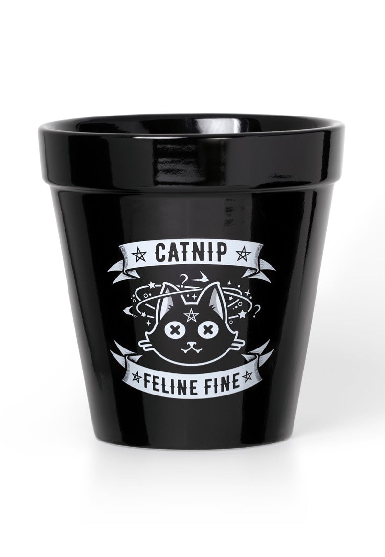 Alchemy England - Catnip - Plant Pot