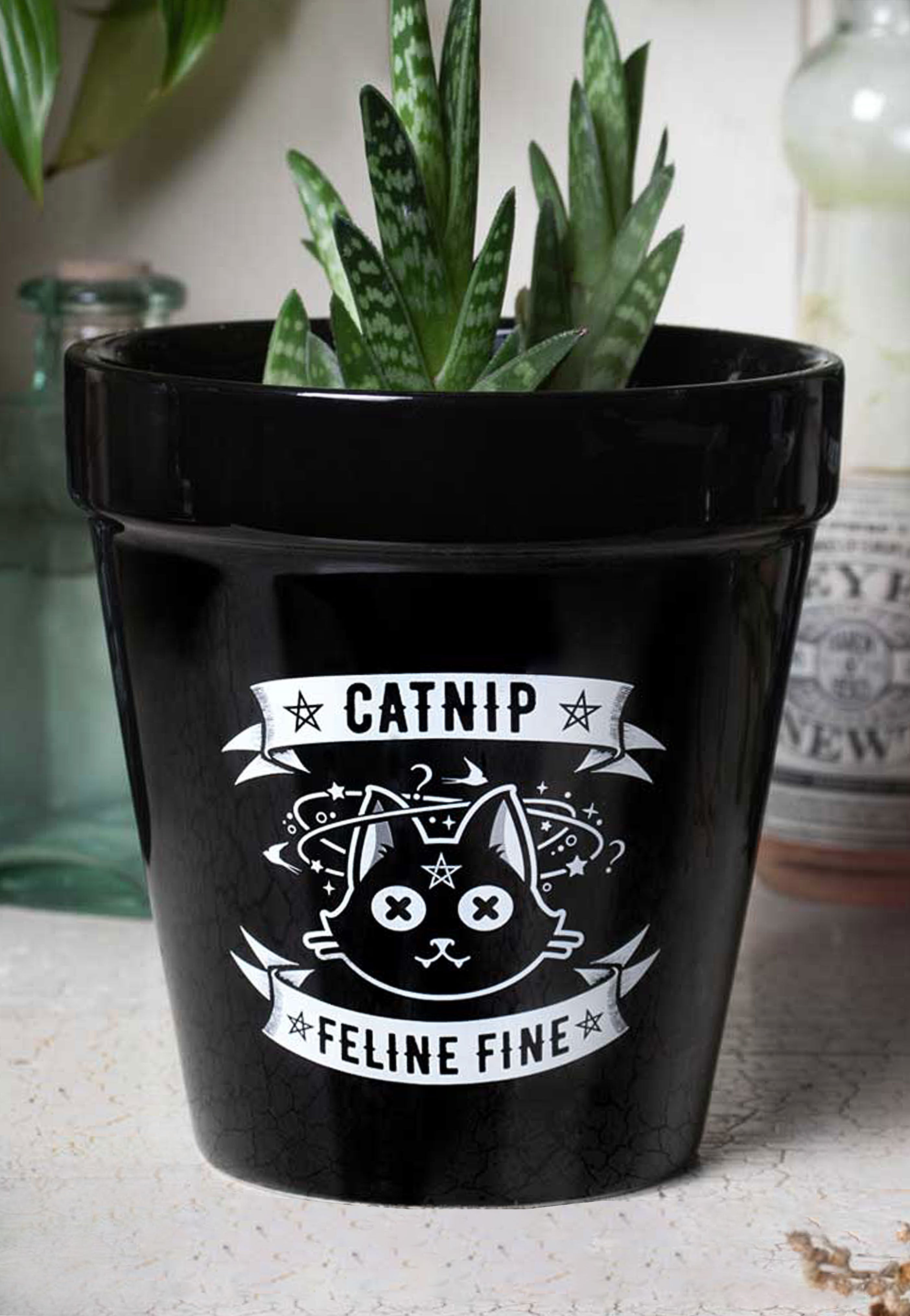 Alchemy England - Catnip - Plant Pot