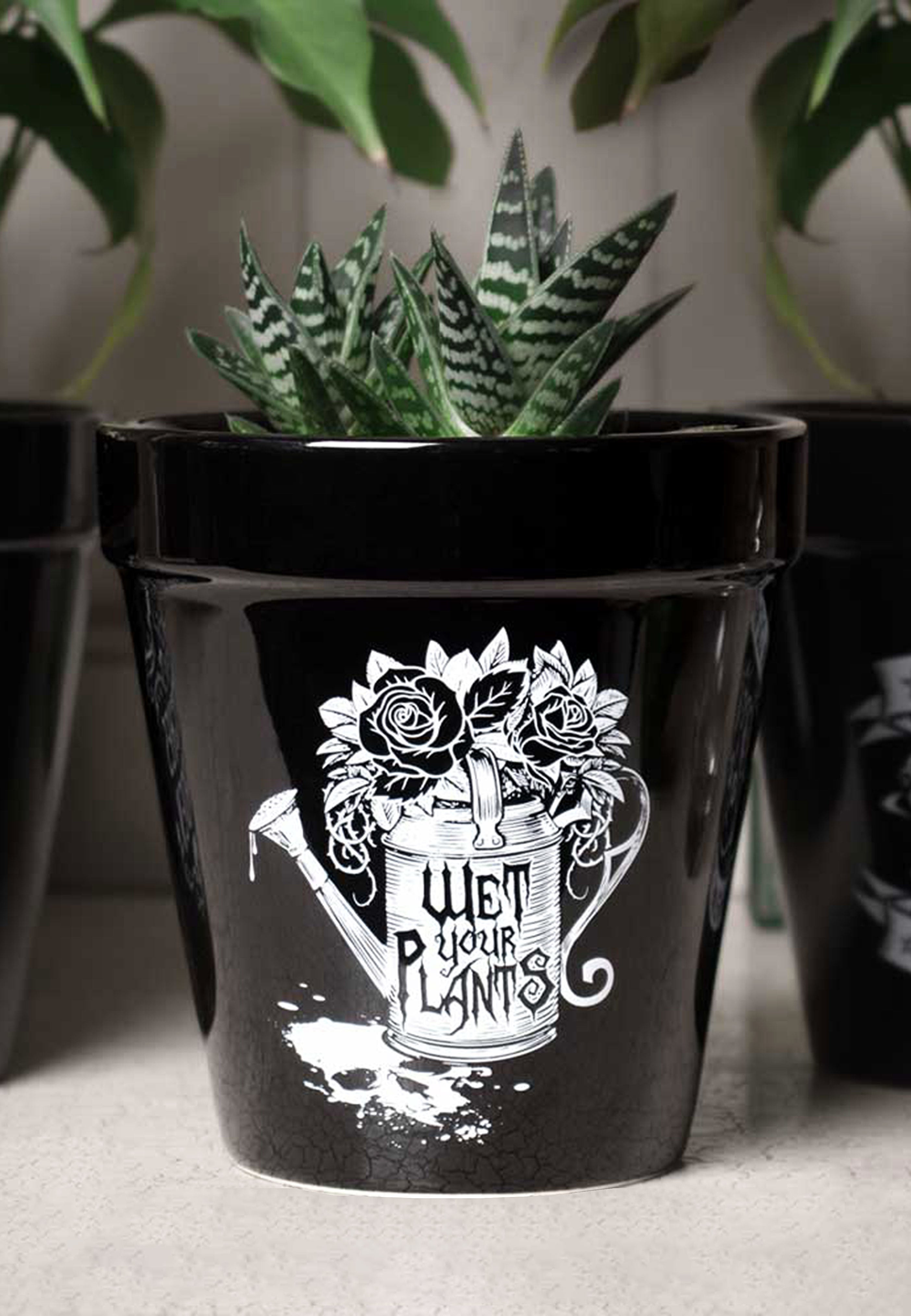 Alchemy England - Wet Your Plants - Plant Pot