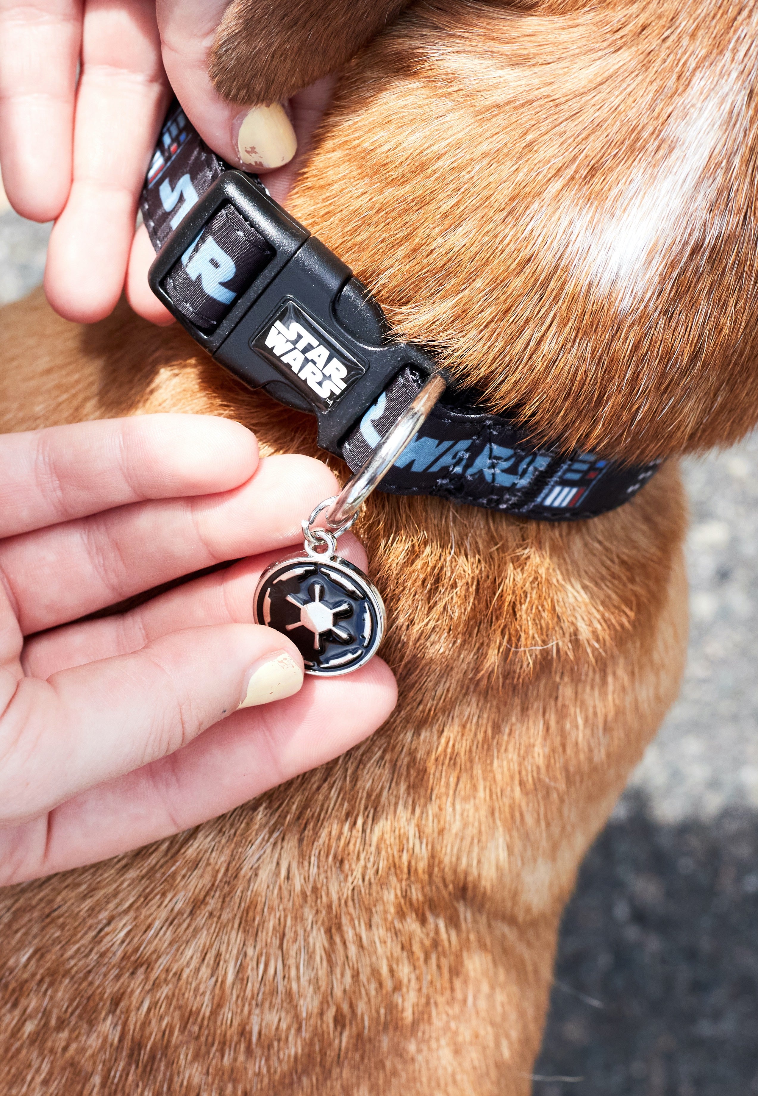 Star Wars - Darth Vader - Dog Collar