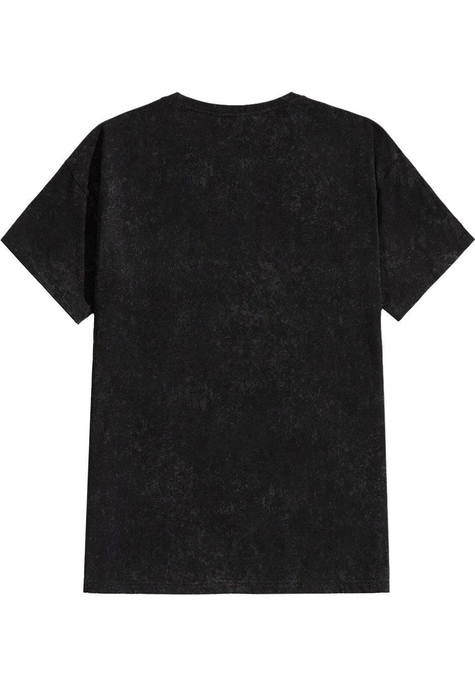 Linkin Park - Hybrid Theory Vintage Loose - T-Shirt | Neutral-Image